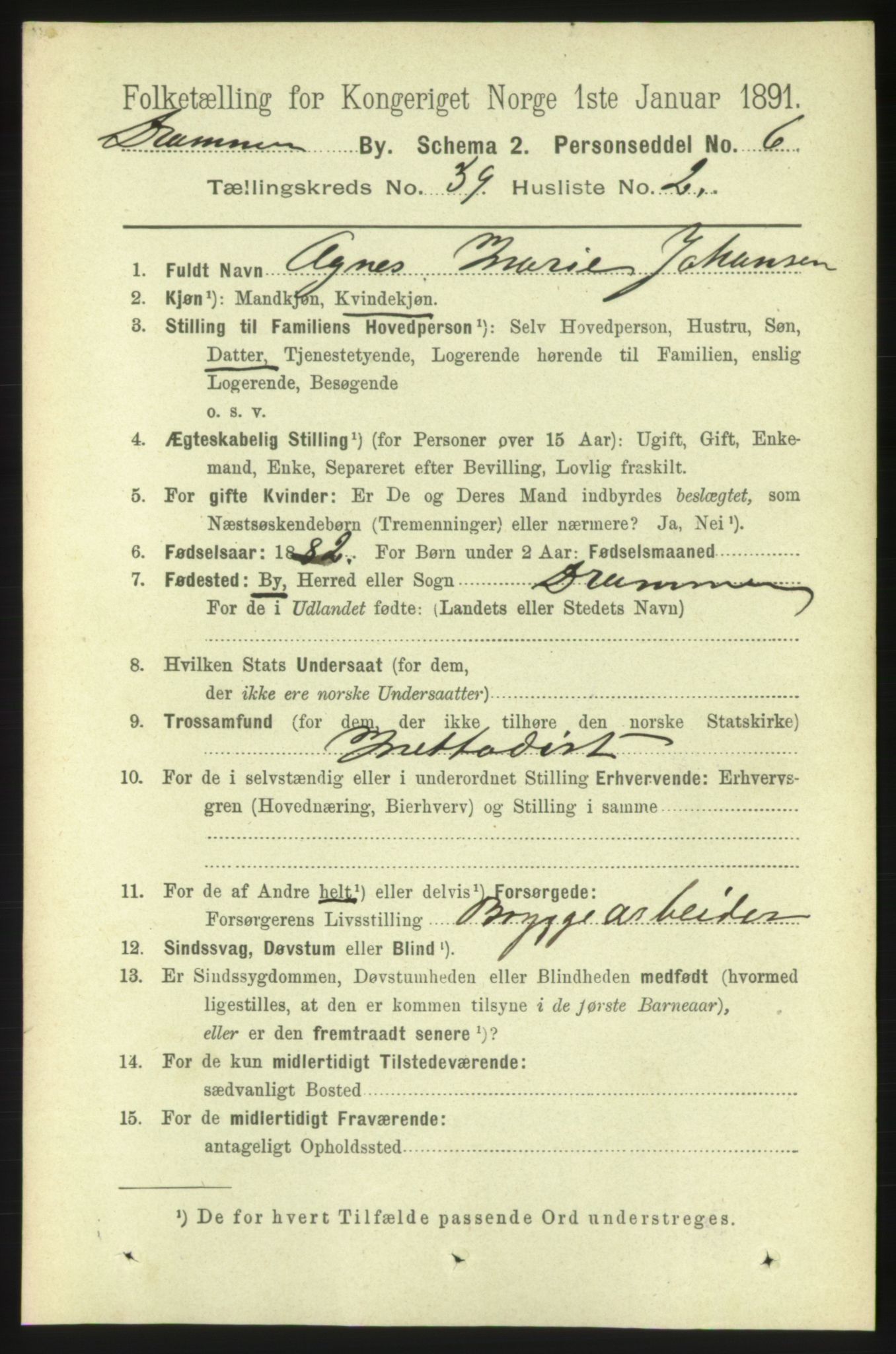 RA, 1891 census for 0602 Drammen, 1891, p. 23310