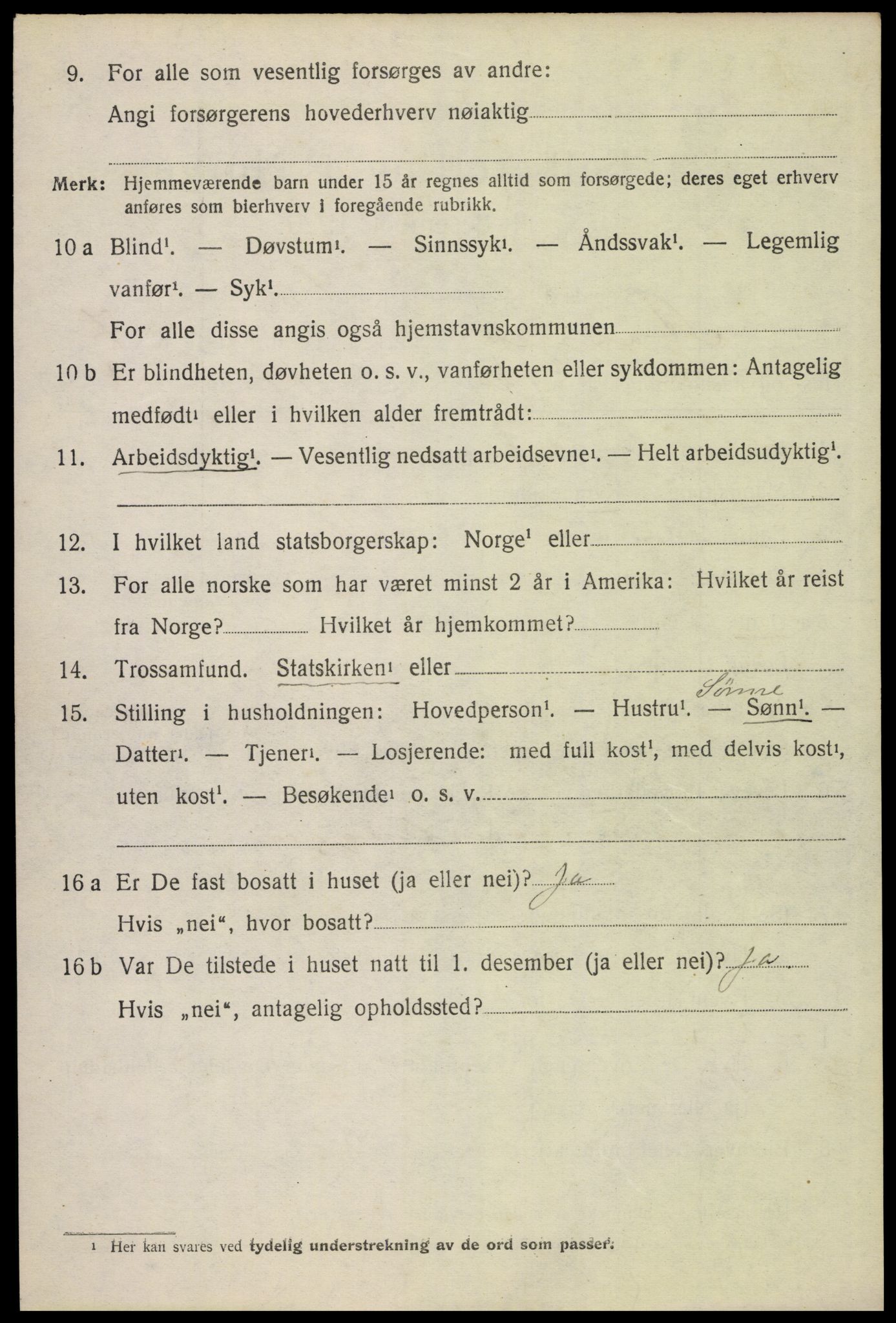 SAH, 1920 census for Åsnes, 1920, p. 9117