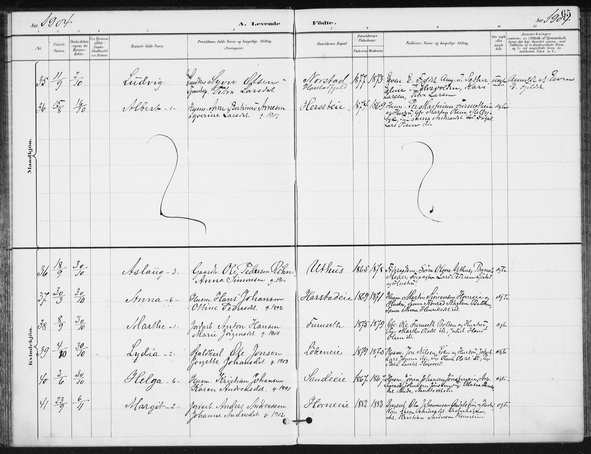 Romedal prestekontor, AV/SAH-PREST-004/K/L0011: Parish register (official) no. 11, 1896-1912, p. 65