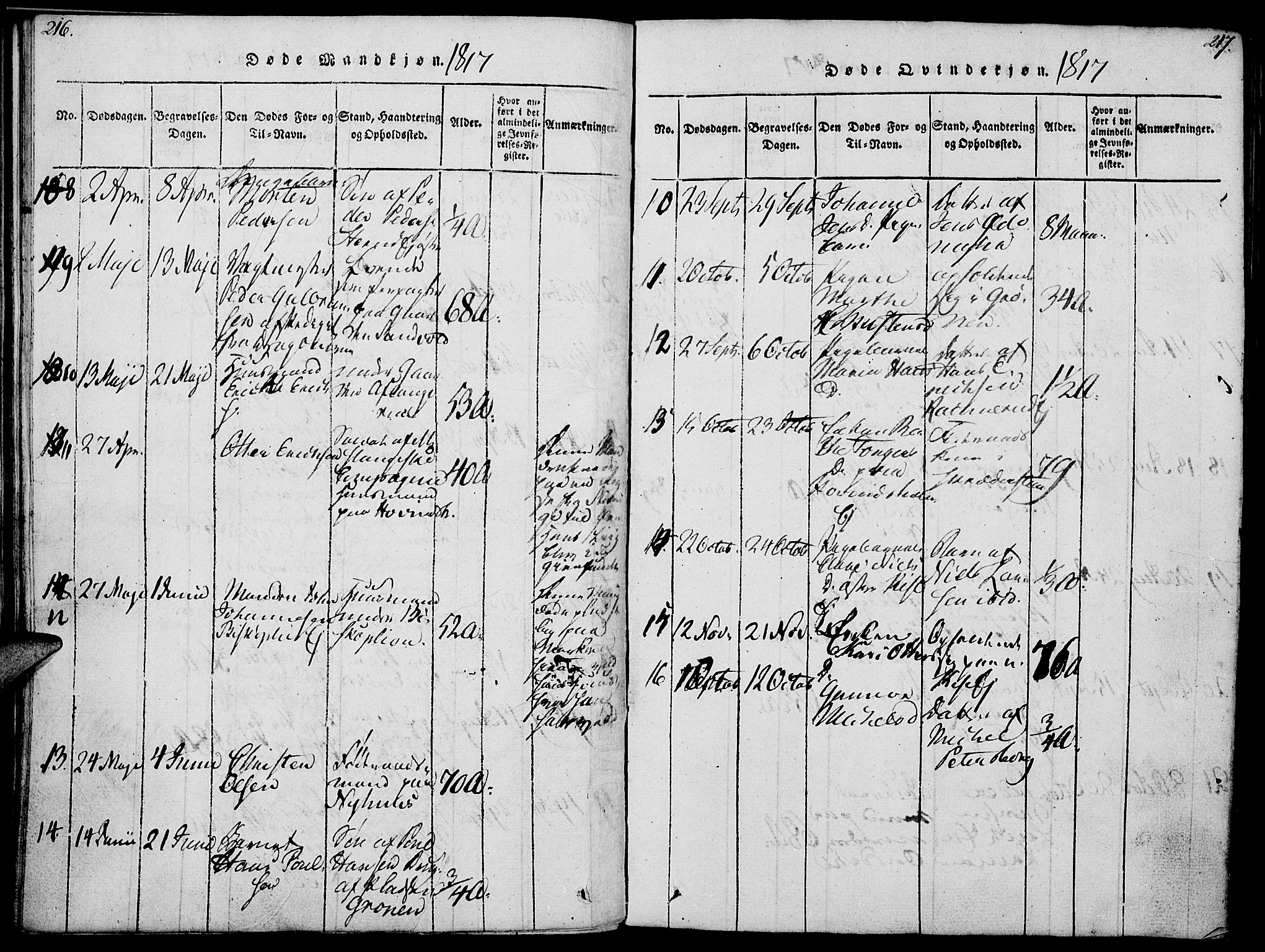 Nes prestekontor, Hedmark, AV/SAH-PREST-020/K/Ka/L0002: Parish register (official) no. 2, 1813-1827, p. 216-217