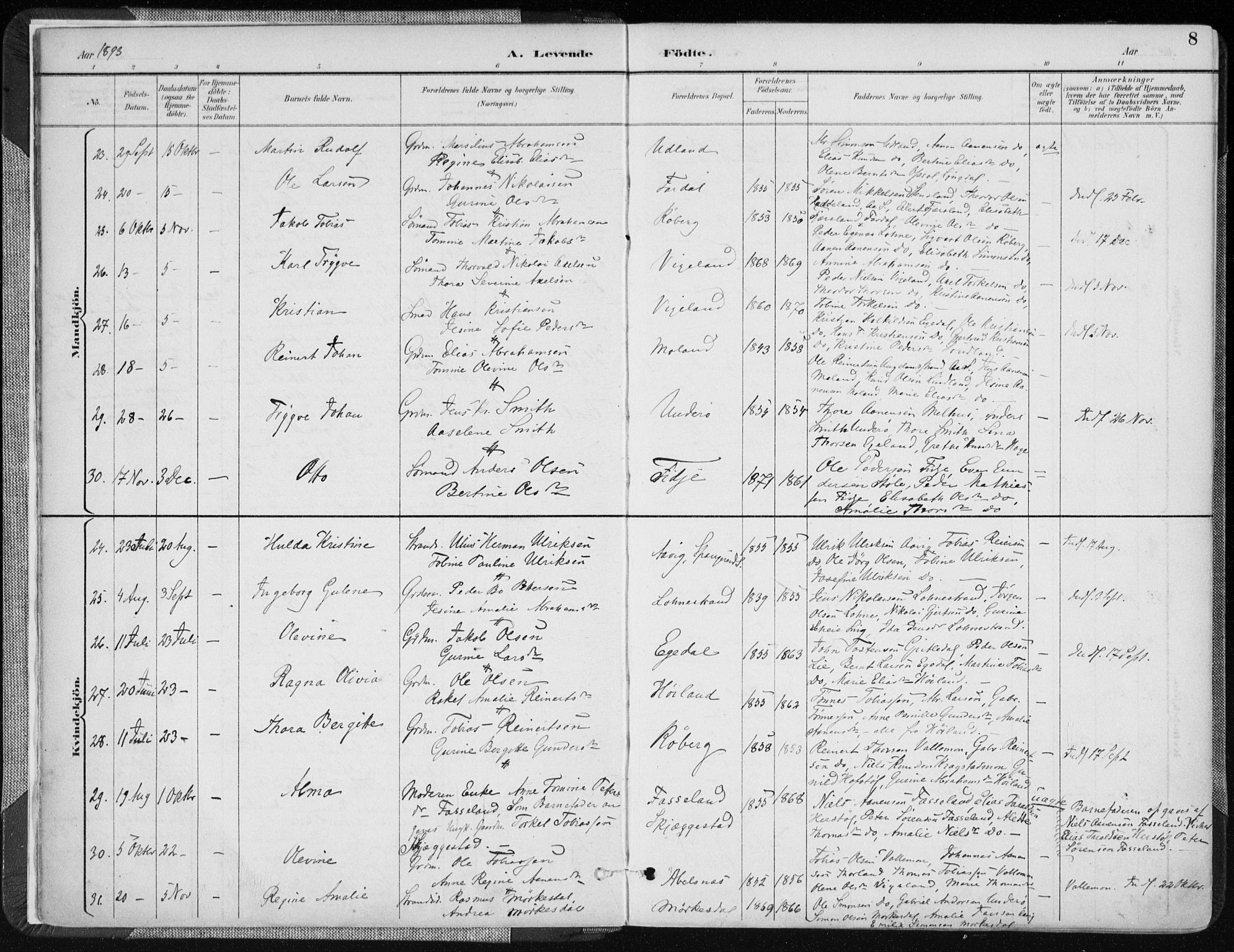 Sør-Audnedal sokneprestkontor, AV/SAK-1111-0039/F/Fa/Fab/L0010: Parish register (official) no. A 10, 1892-1913, p. 8