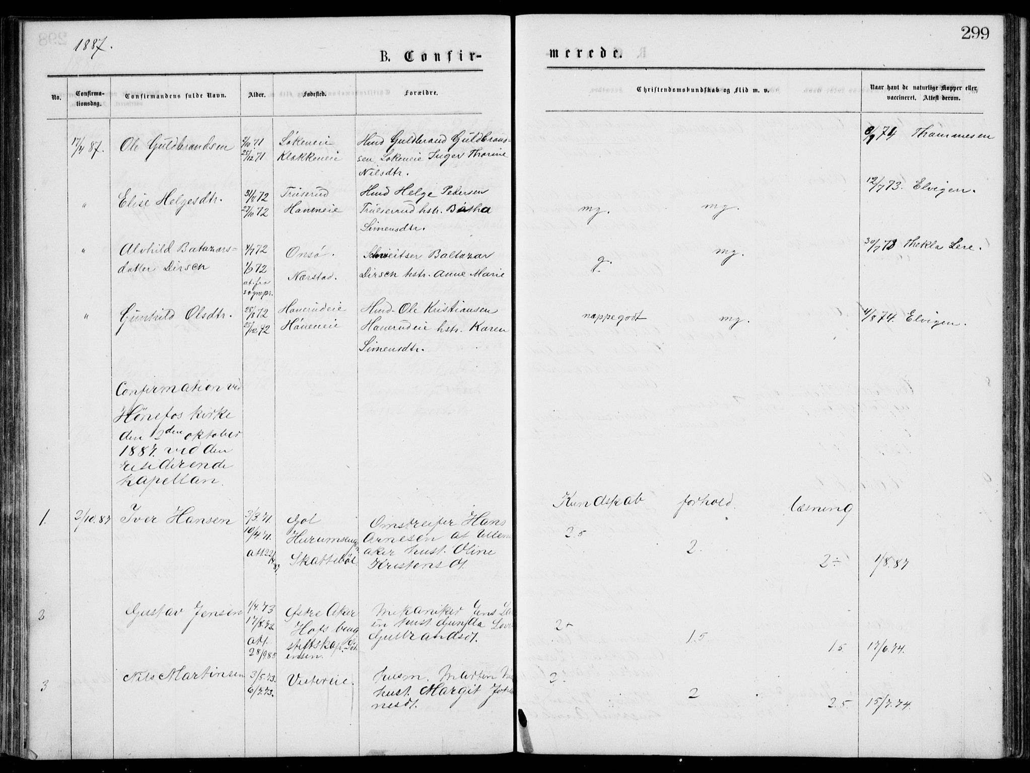 Norderhov kirkebøker, SAKO/A-237/G/Gb/L0001: Parish register (copy) no. II 1, 1876-1899, p. 299
