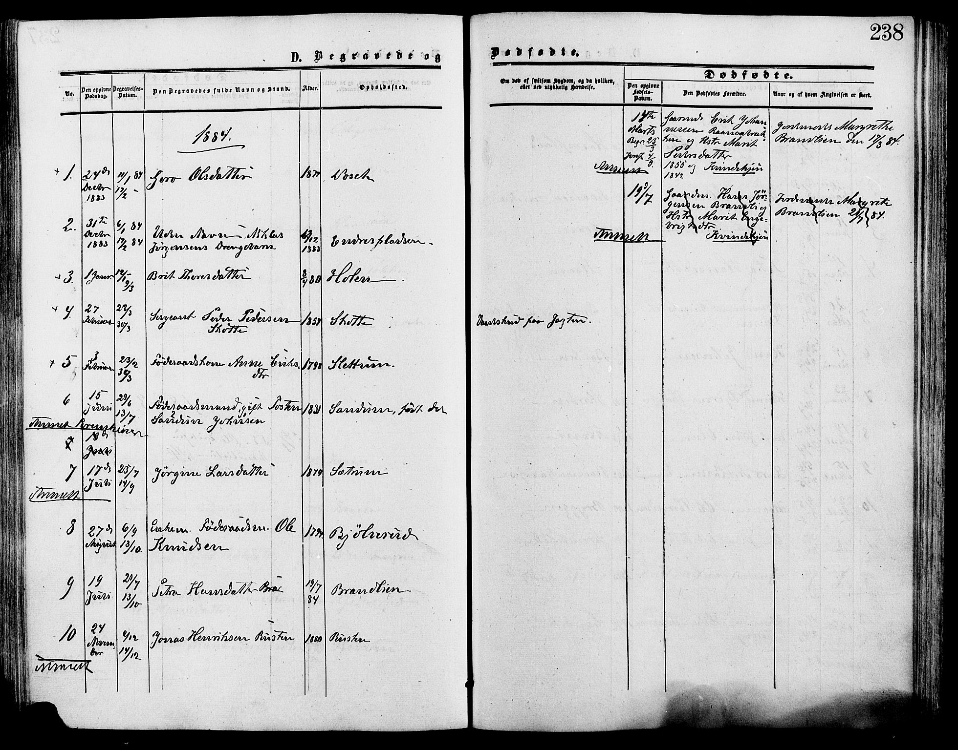 Lesja prestekontor, AV/SAH-PREST-068/H/Ha/Haa/L0009: Parish register (official) no. 9, 1854-1889, p. 238