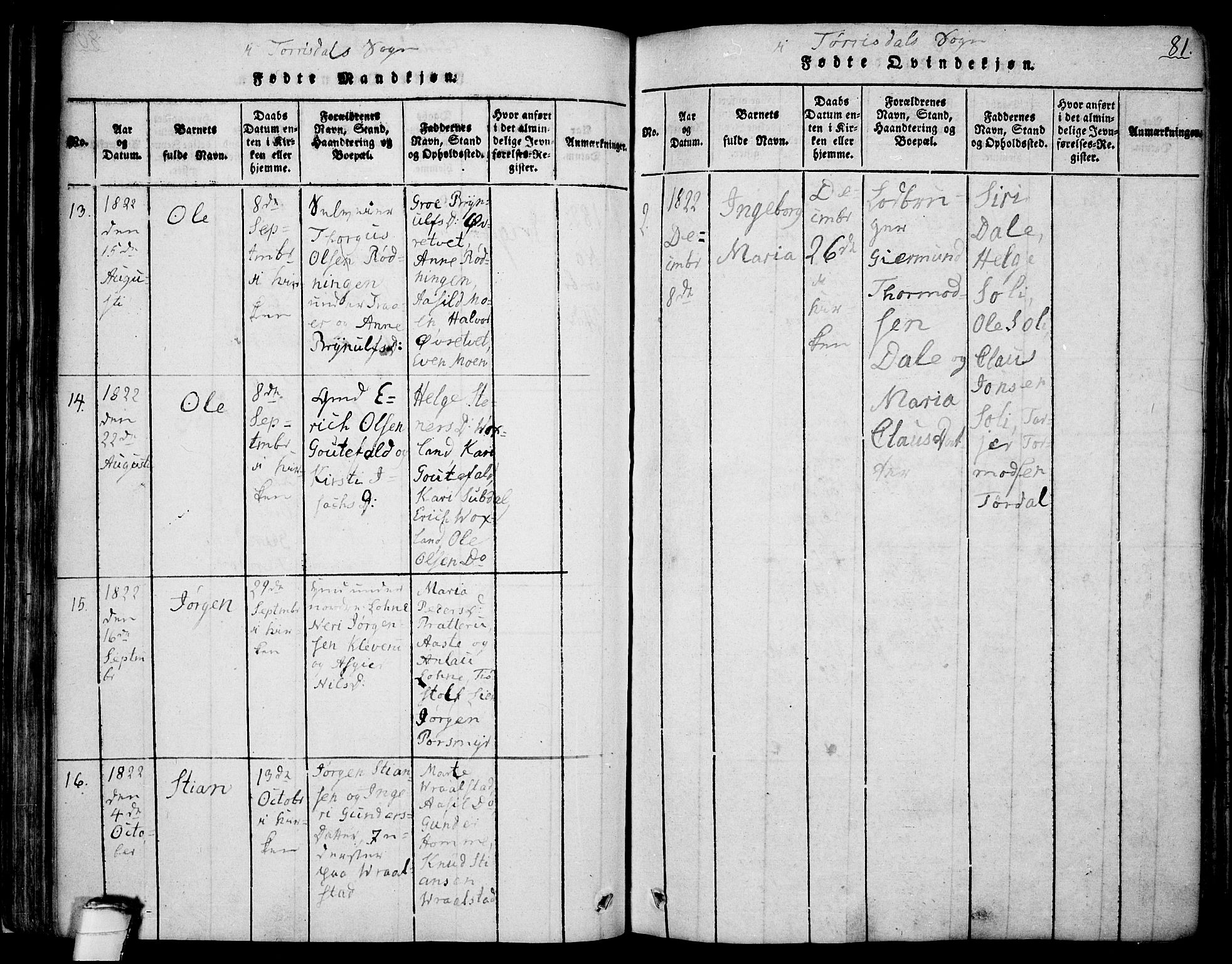 Drangedal kirkebøker, SAKO/A-258/F/Fa/L0005: Parish register (official) no. 5 /2, 1814-1831, p. 81