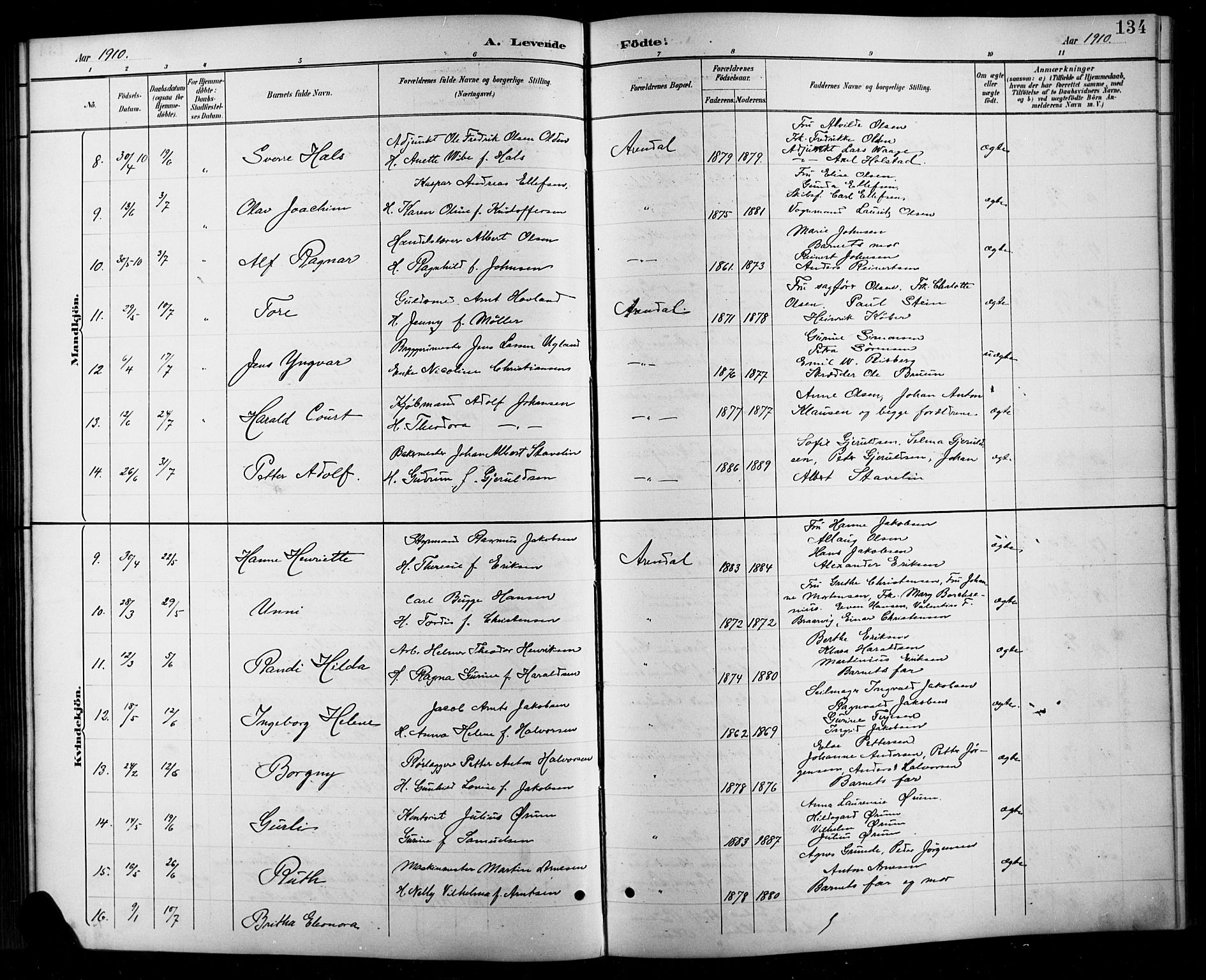 Arendal sokneprestkontor, Trefoldighet, SAK/1111-0040/F/Fb/L0006: Parish register (copy) no. B 6, 1889-1916, p. 134