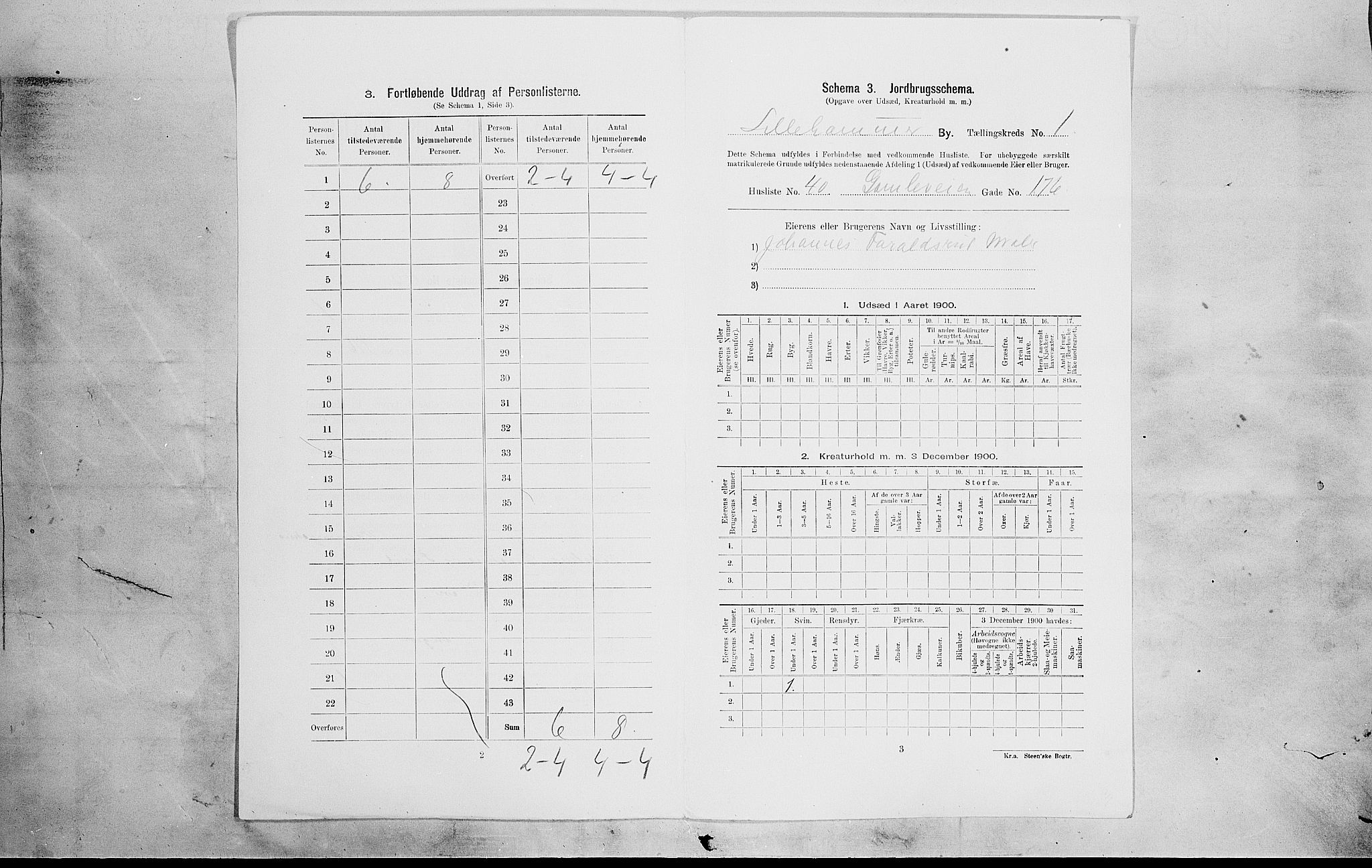SAH, 1900 census for Lillehammer, 1900, p. 731