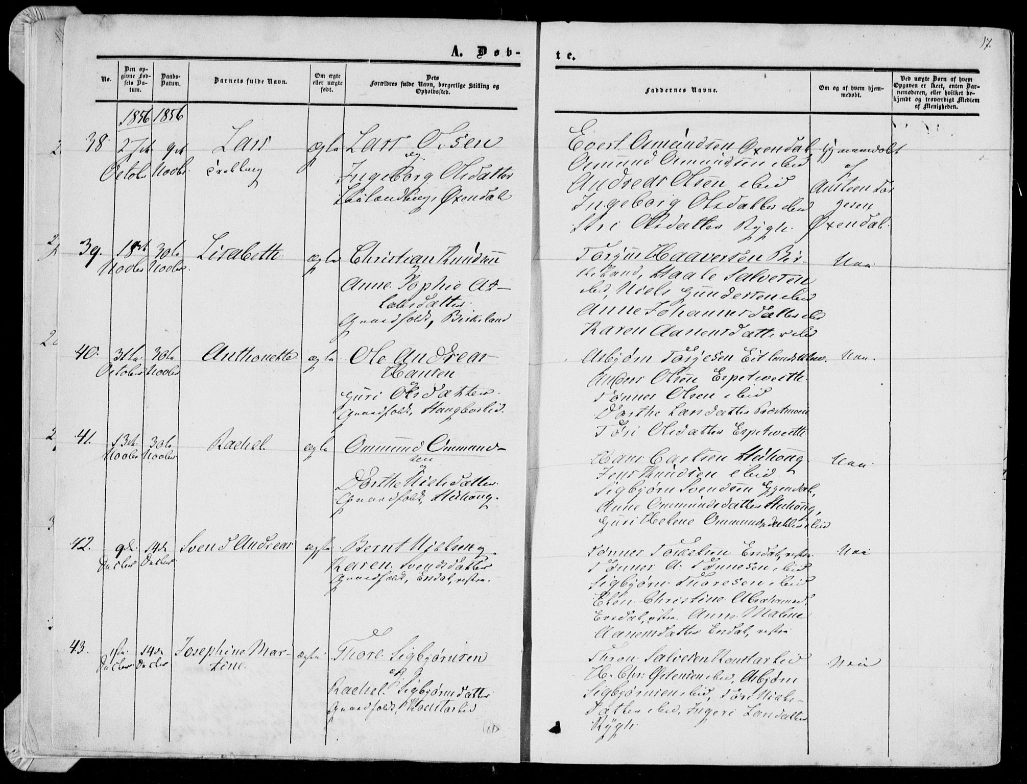 Bakke sokneprestkontor, AV/SAK-1111-0002/F/Fa/Faa/L0006: Parish register (official) no. A 6, 1855-1877, p. 17