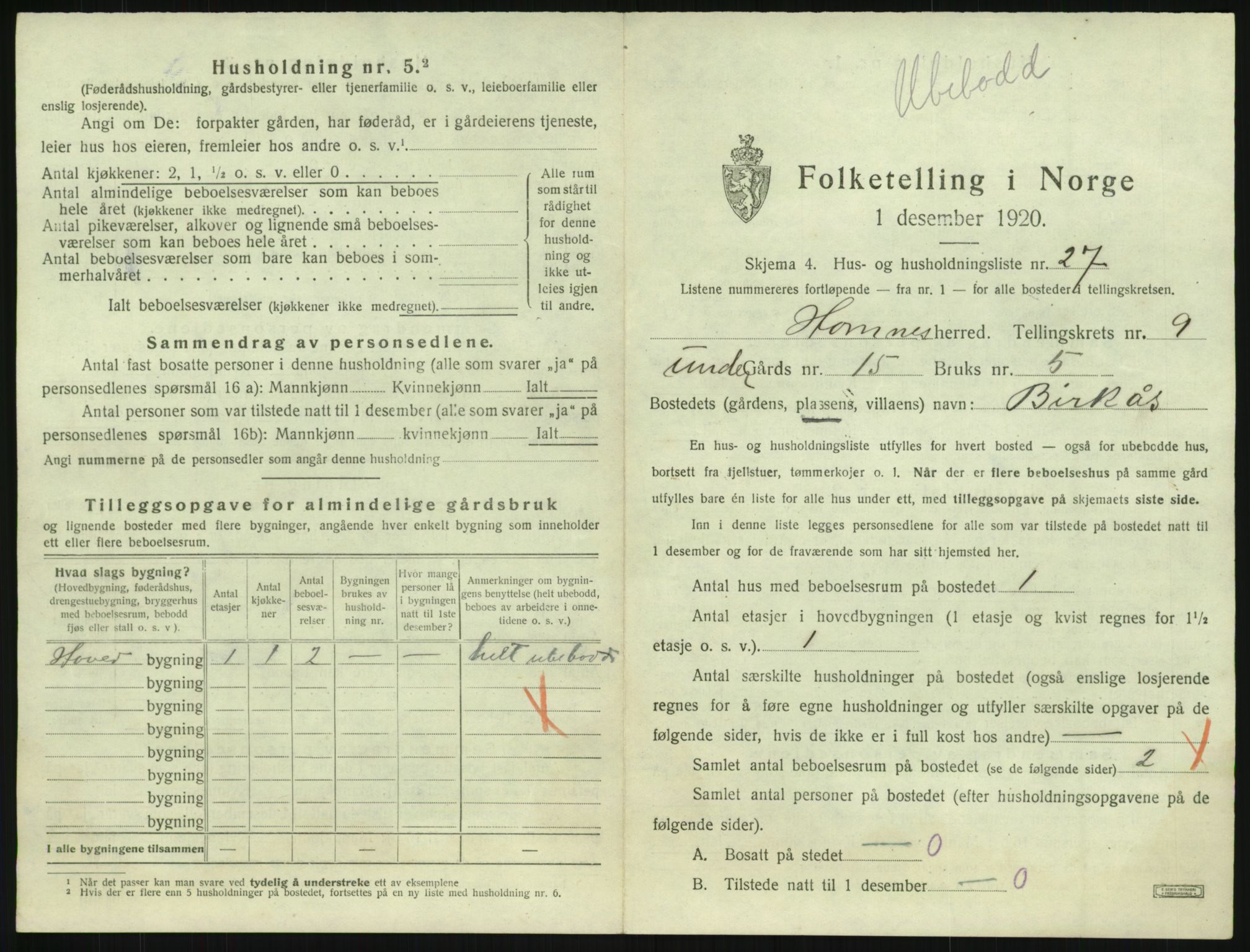 SAK, 1920 census for Hornnes, 1920, p. 403