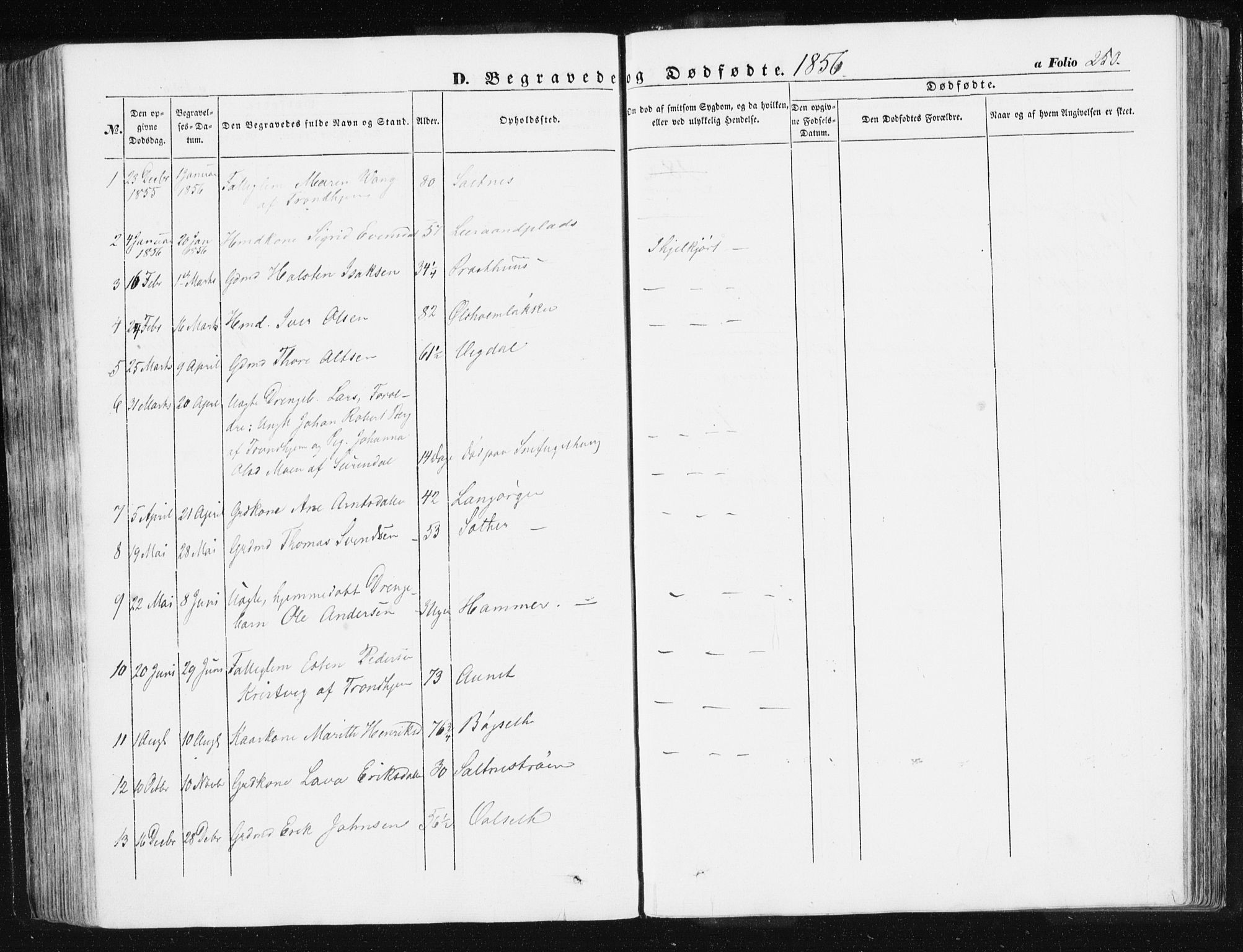 Ministerialprotokoller, klokkerbøker og fødselsregistre - Sør-Trøndelag, SAT/A-1456/612/L0376: Parish register (official) no. 612A08, 1846-1859, p. 250