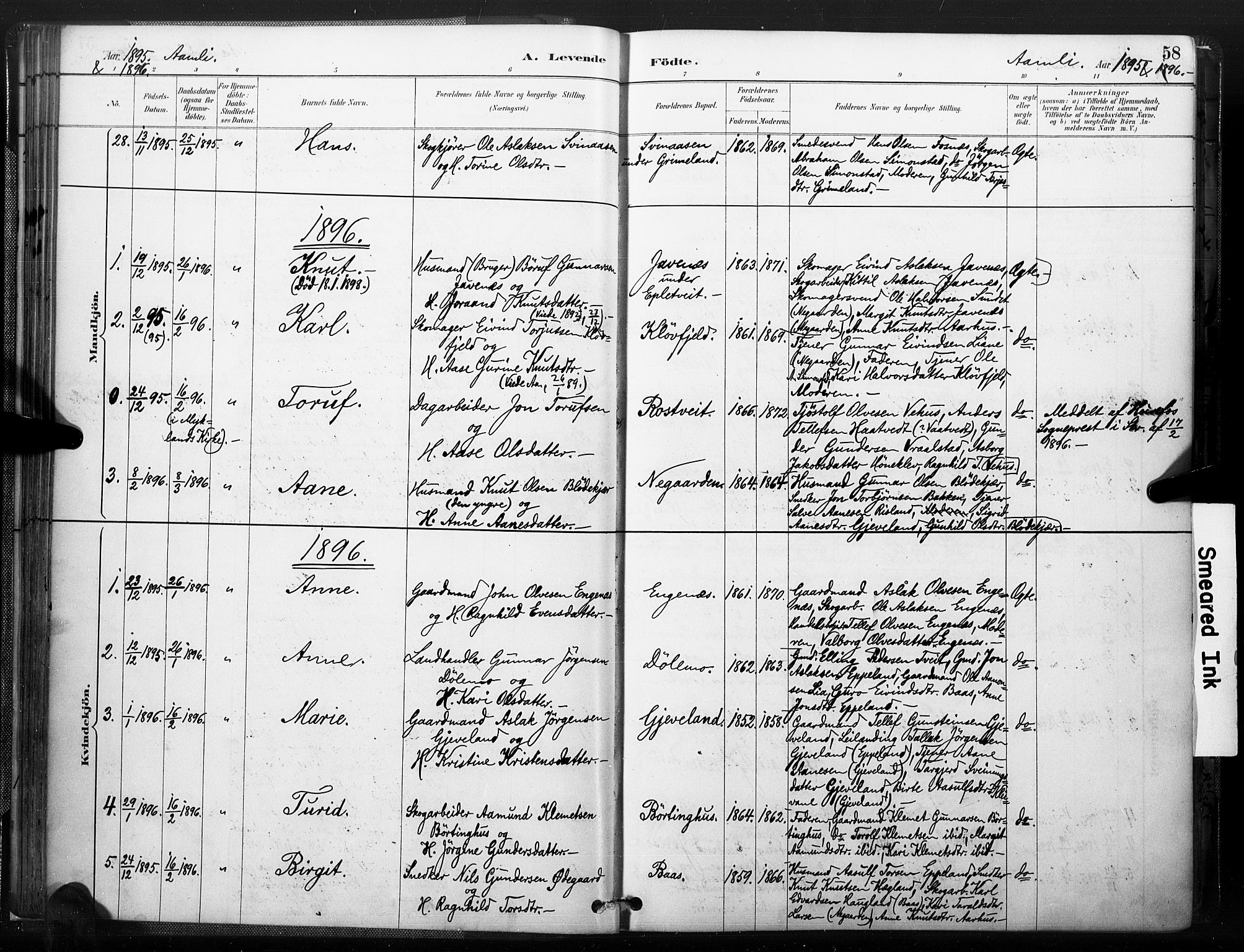 Åmli sokneprestkontor, AV/SAK-1111-0050/F/Fa/Fac/L0010: Parish register (official) no. A 10 /1, 1885-1899, p. 58