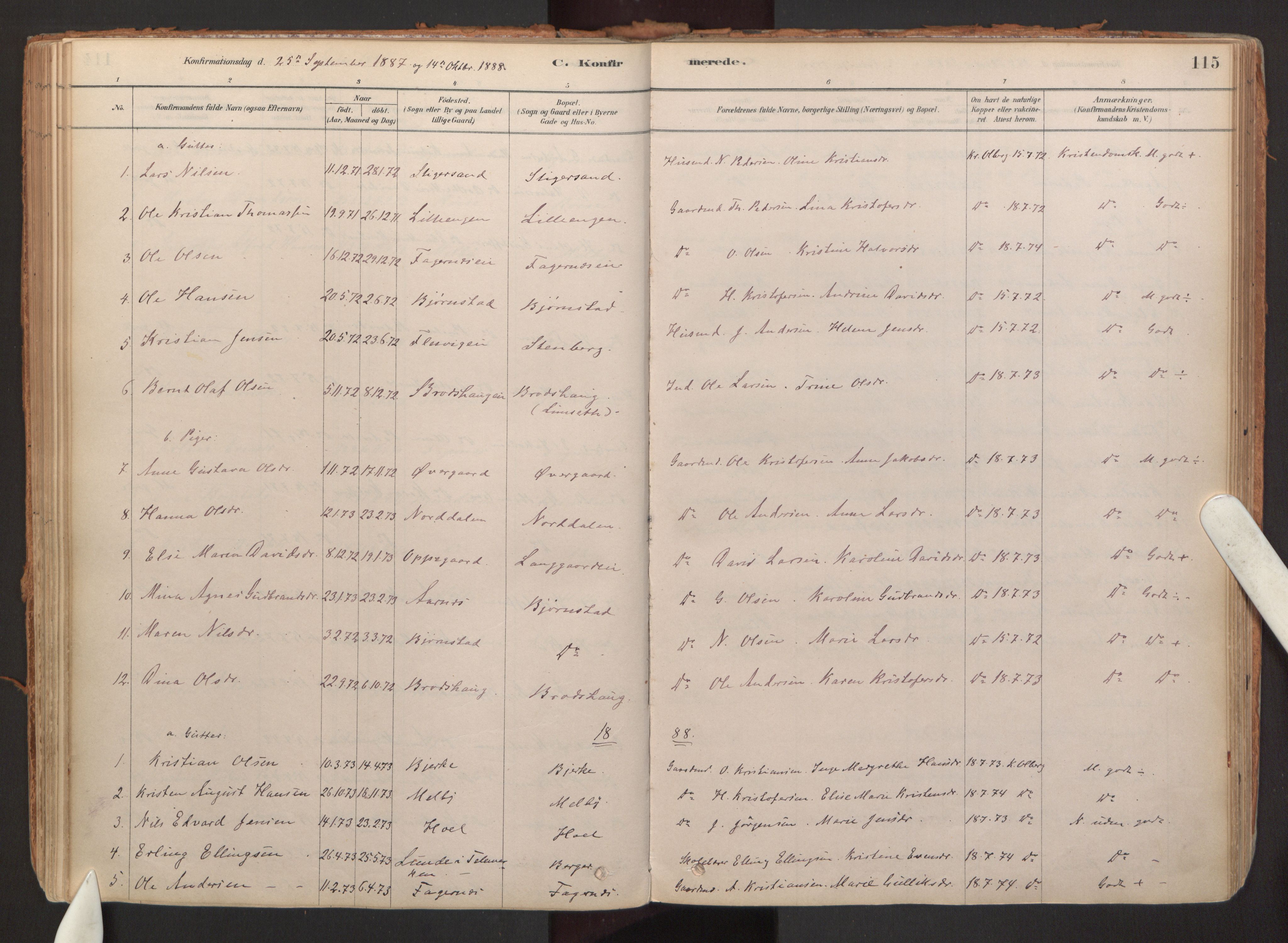 Hurdal prestekontor Kirkebøker, SAO/A-10889/F/Fb/L0003: Parish register (official) no. II 3, 1878-1920, p. 115