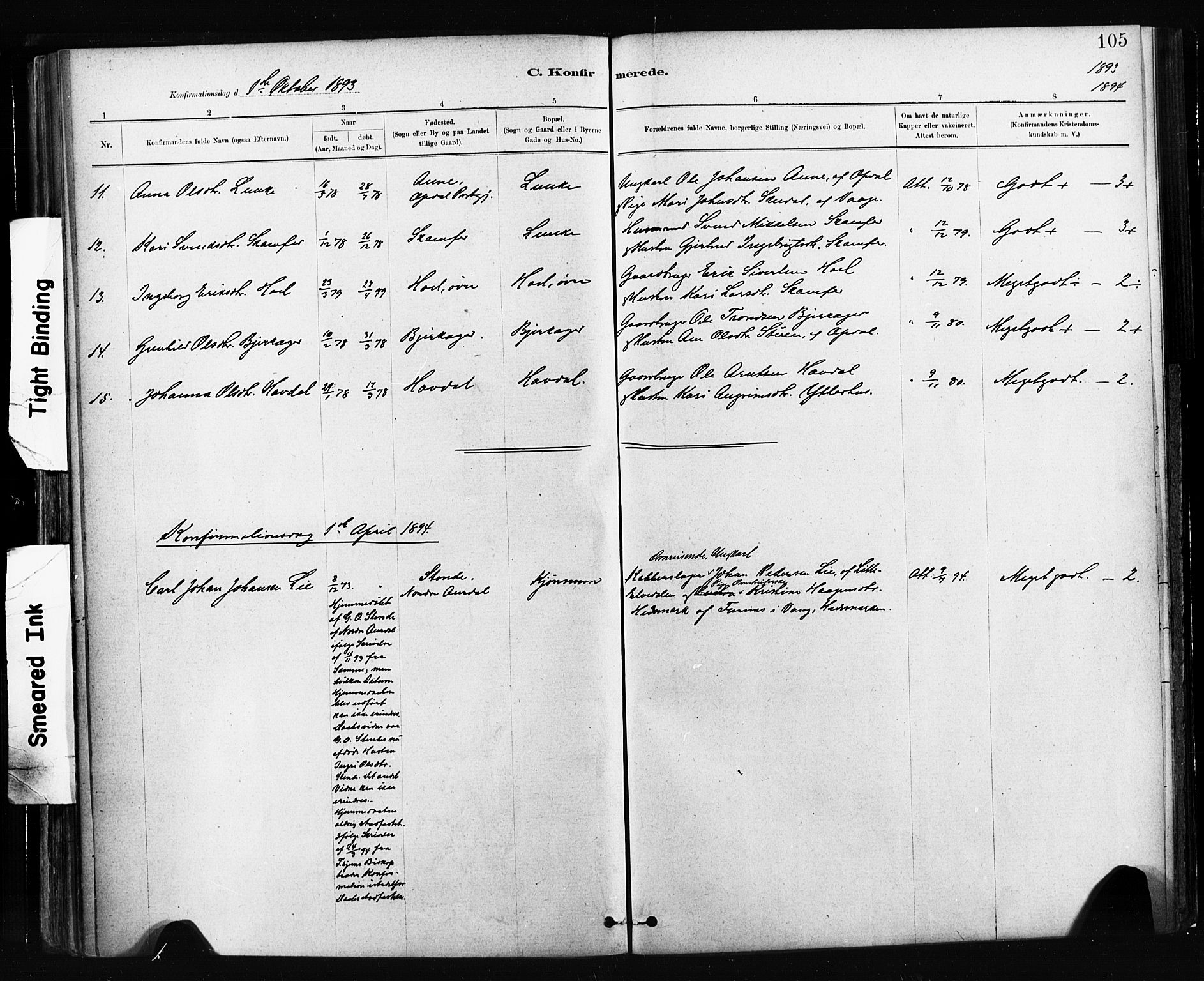 Ministerialprotokoller, klokkerbøker og fødselsregistre - Sør-Trøndelag, SAT/A-1456/674/L0871: Parish register (official) no. 674A03, 1880-1896, p. 105
