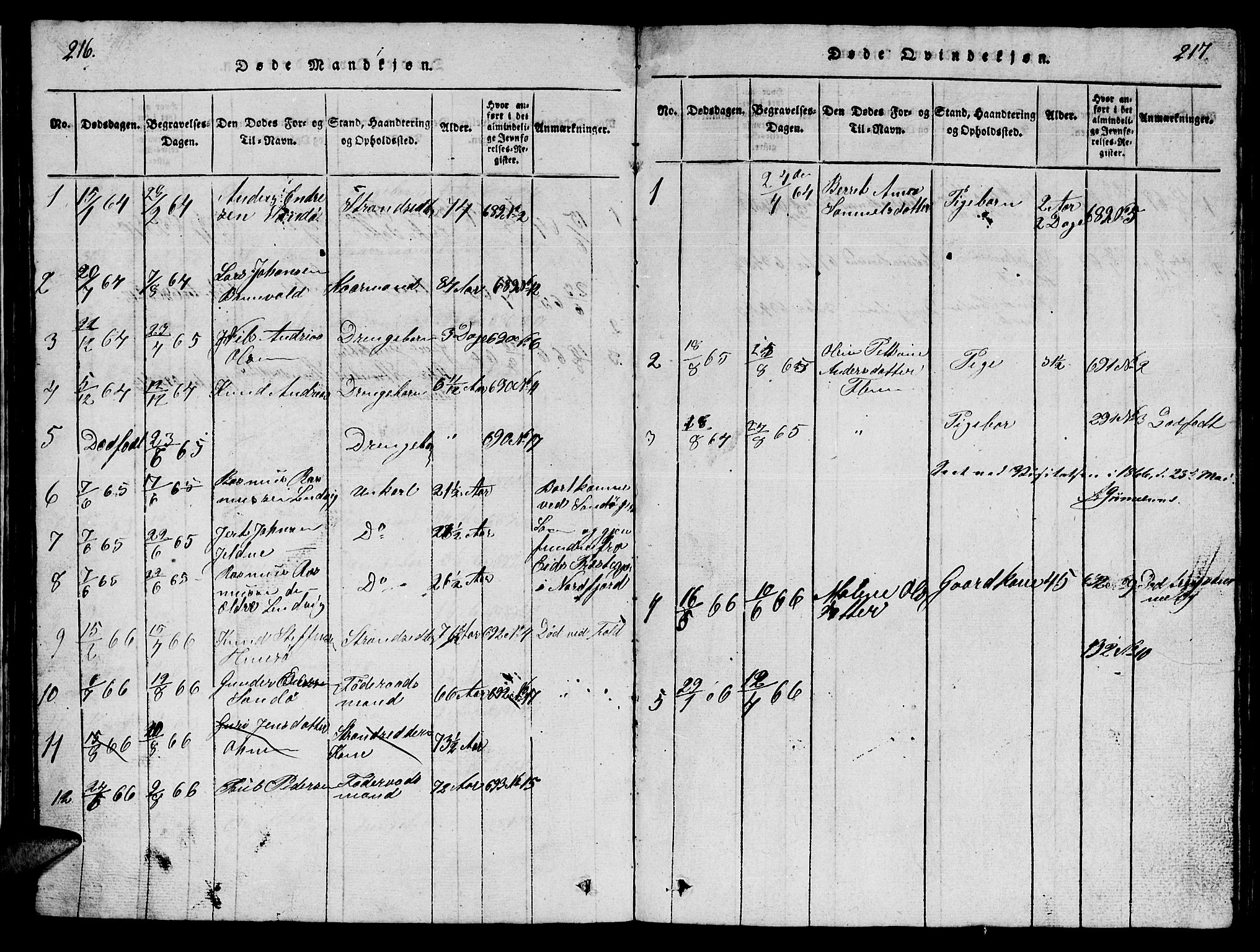 Ministerialprotokoller, klokkerbøker og fødselsregistre - Møre og Romsdal, AV/SAT-A-1454/561/L0731: Parish register (copy) no. 561C01, 1817-1867, p. 216-217