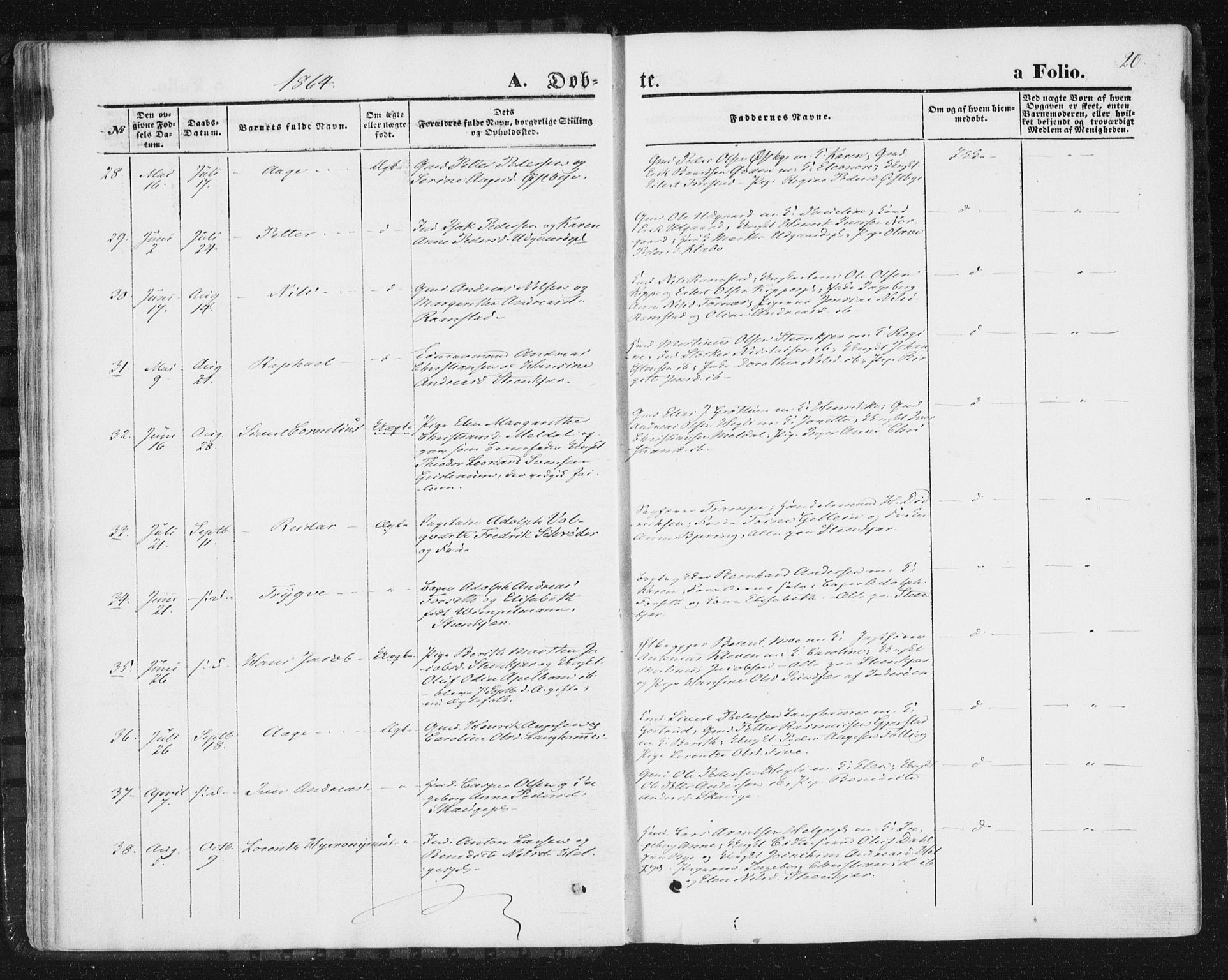 Ministerialprotokoller, klokkerbøker og fødselsregistre - Nord-Trøndelag, AV/SAT-A-1458/746/L0447: Parish register (official) no. 746A06, 1860-1877, p. 20