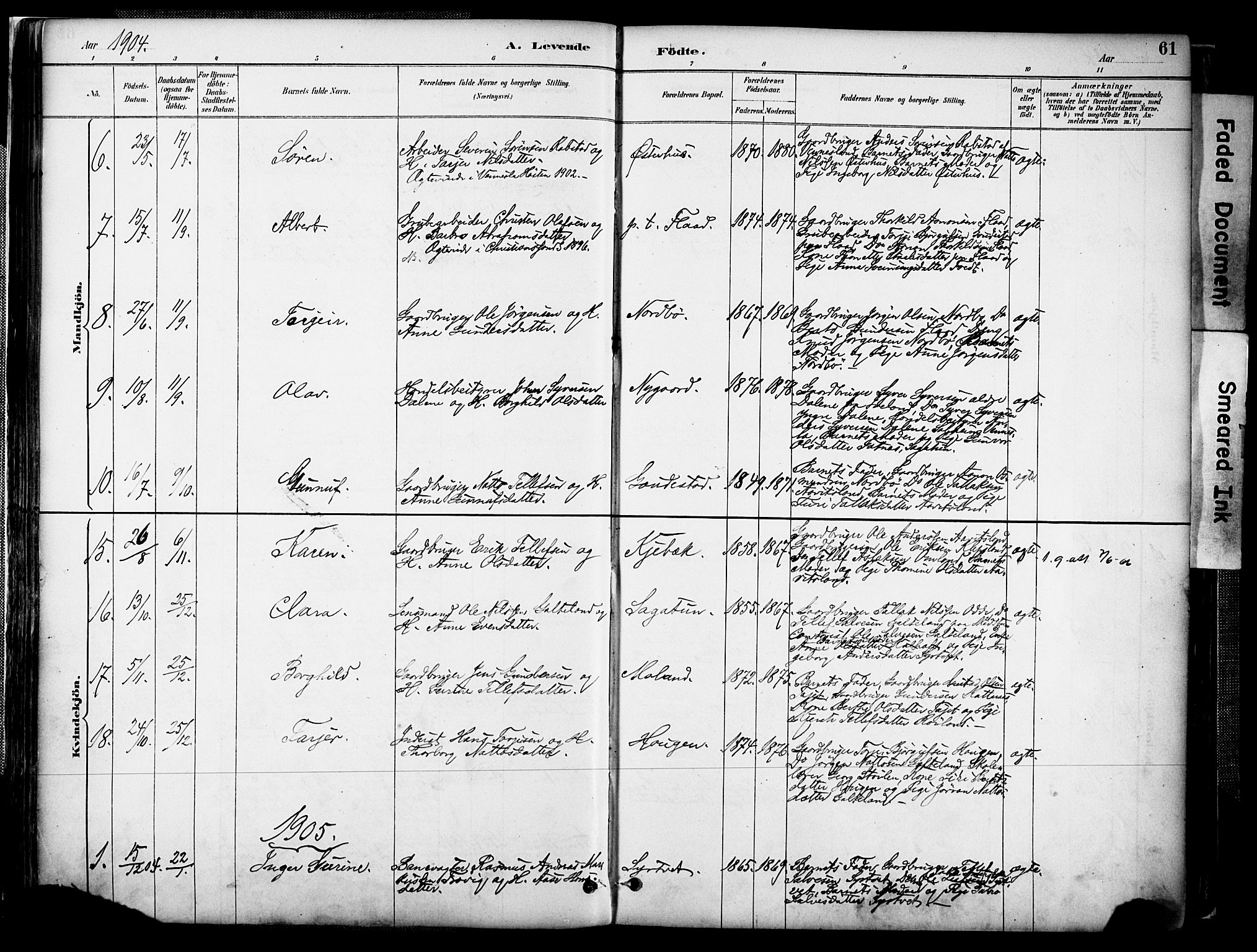 Evje sokneprestkontor, AV/SAK-1111-0008/F/Fa/Faa/L0007: Parish register (official) no. A 7, 1884-1909, p. 61