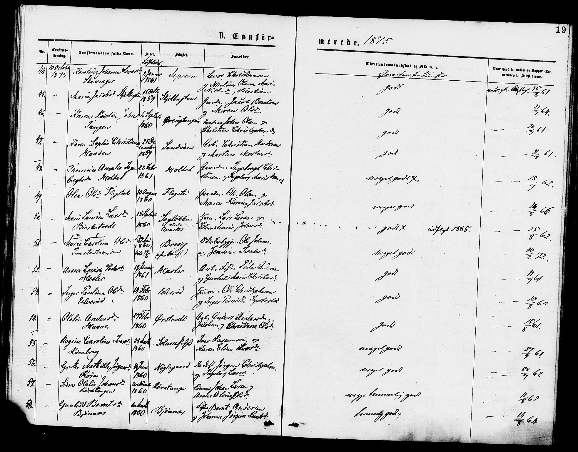 Eidanger kirkebøker, AV/SAKO-A-261/F/Fa/L0011: Parish register (official) no. 11, 1875-1878, p. 19