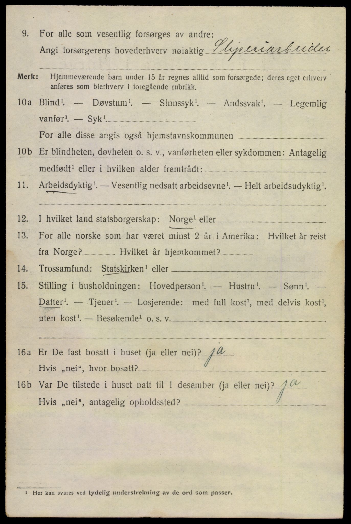 SAKO, 1920 census for Larvik, 1920, p. 18245