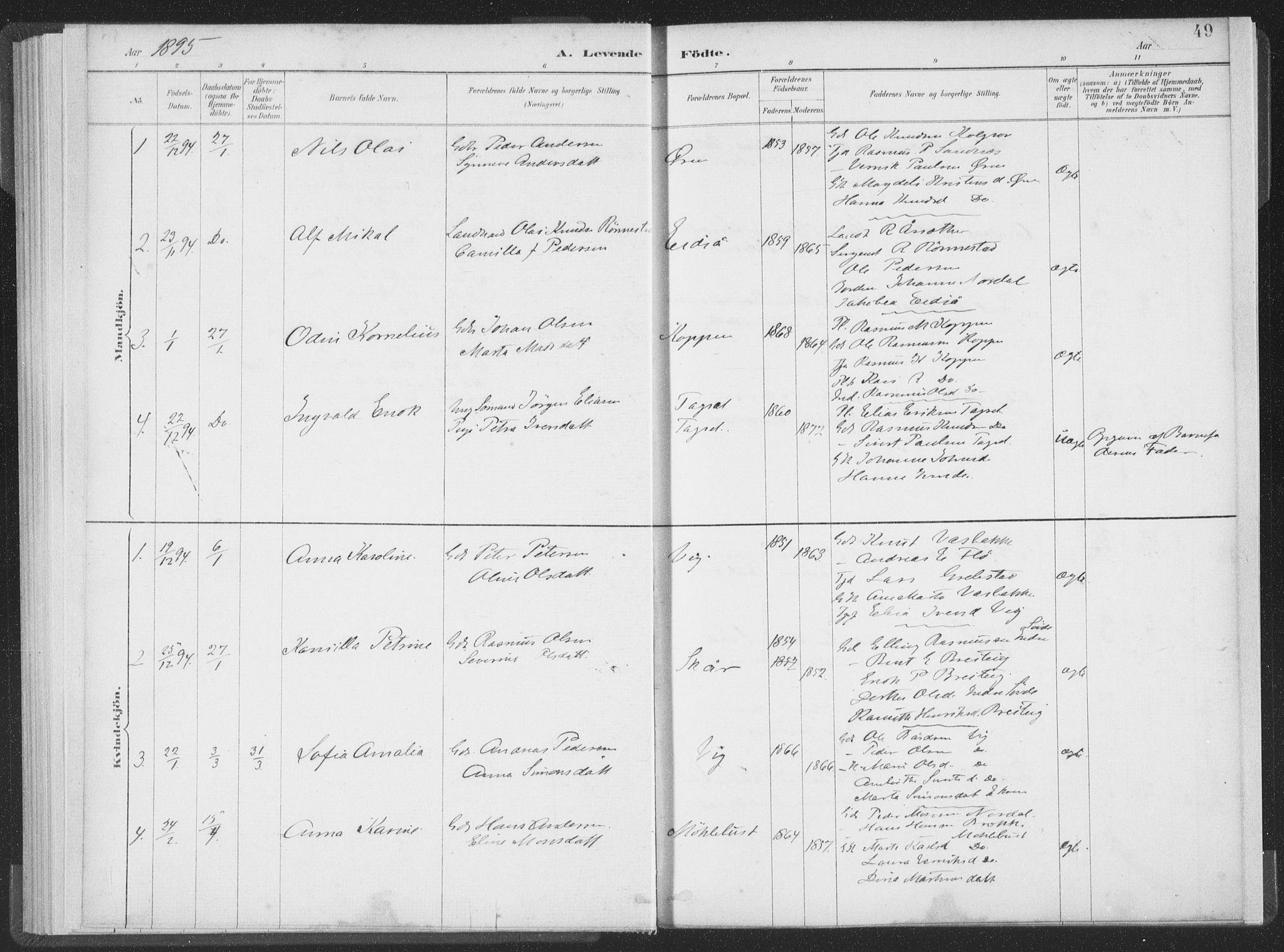 Ministerialprotokoller, klokkerbøker og fødselsregistre - Møre og Romsdal, AV/SAT-A-1454/502/L0025: Parish register (official) no. 502A03, 1885-1909, p. 49