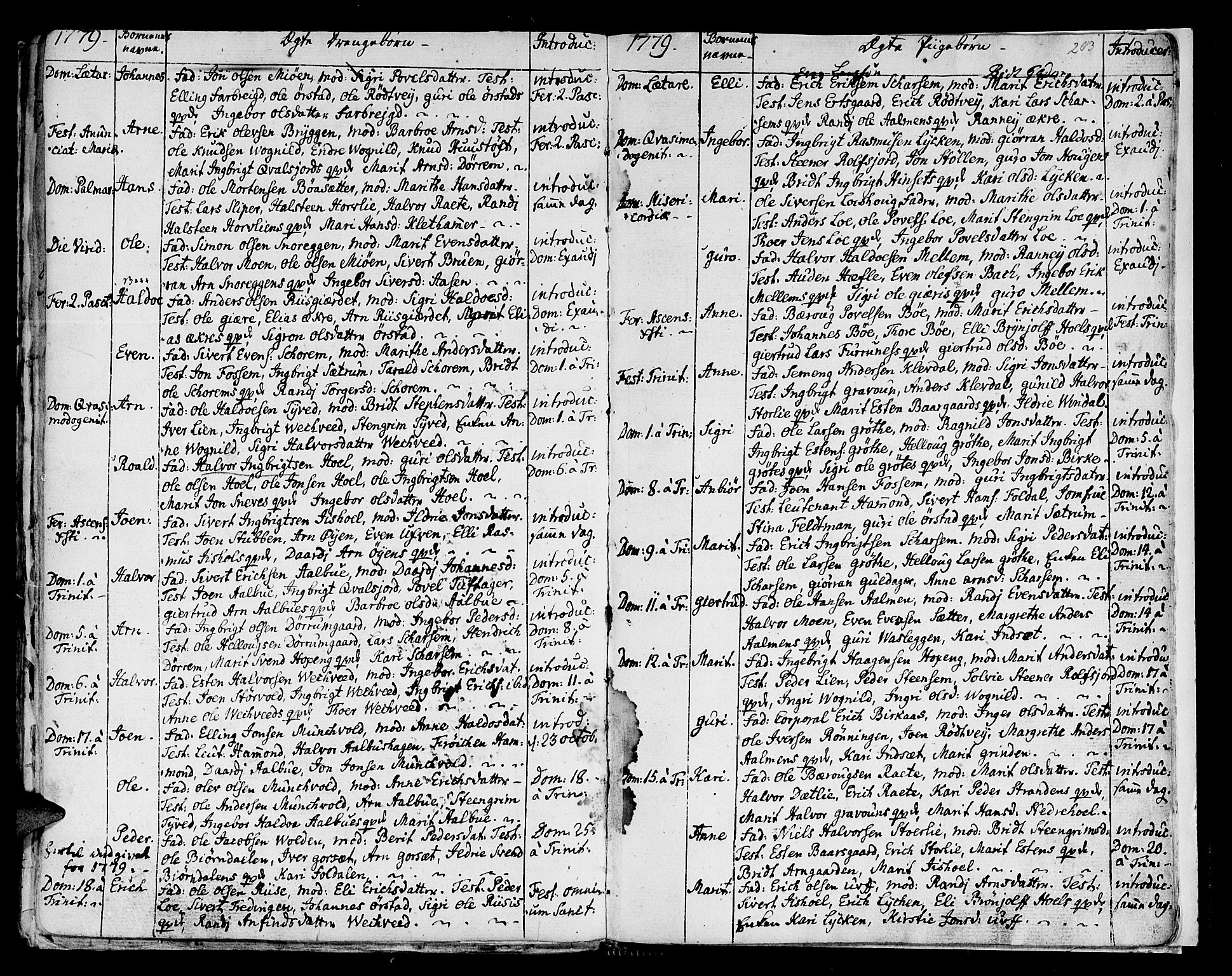 Ministerialprotokoller, klokkerbøker og fødselsregistre - Sør-Trøndelag, SAT/A-1456/678/L0891: Parish register (official) no. 678A01, 1739-1780, p. 203
