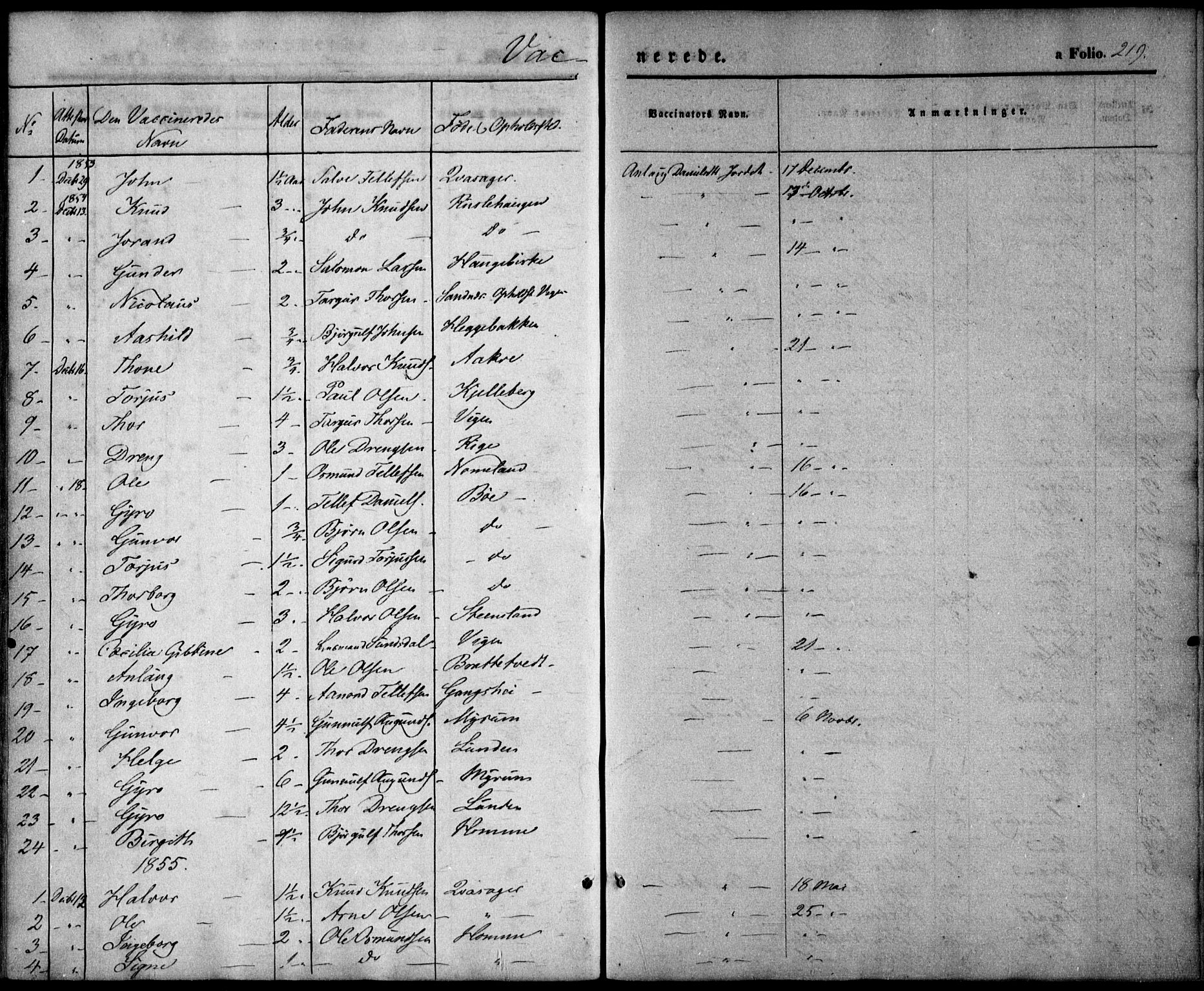 Valle sokneprestkontor, SAK/1111-0044/F/Fa/Fac/L0007: Parish register (official) no. A 7, 1854-1868, p. 219