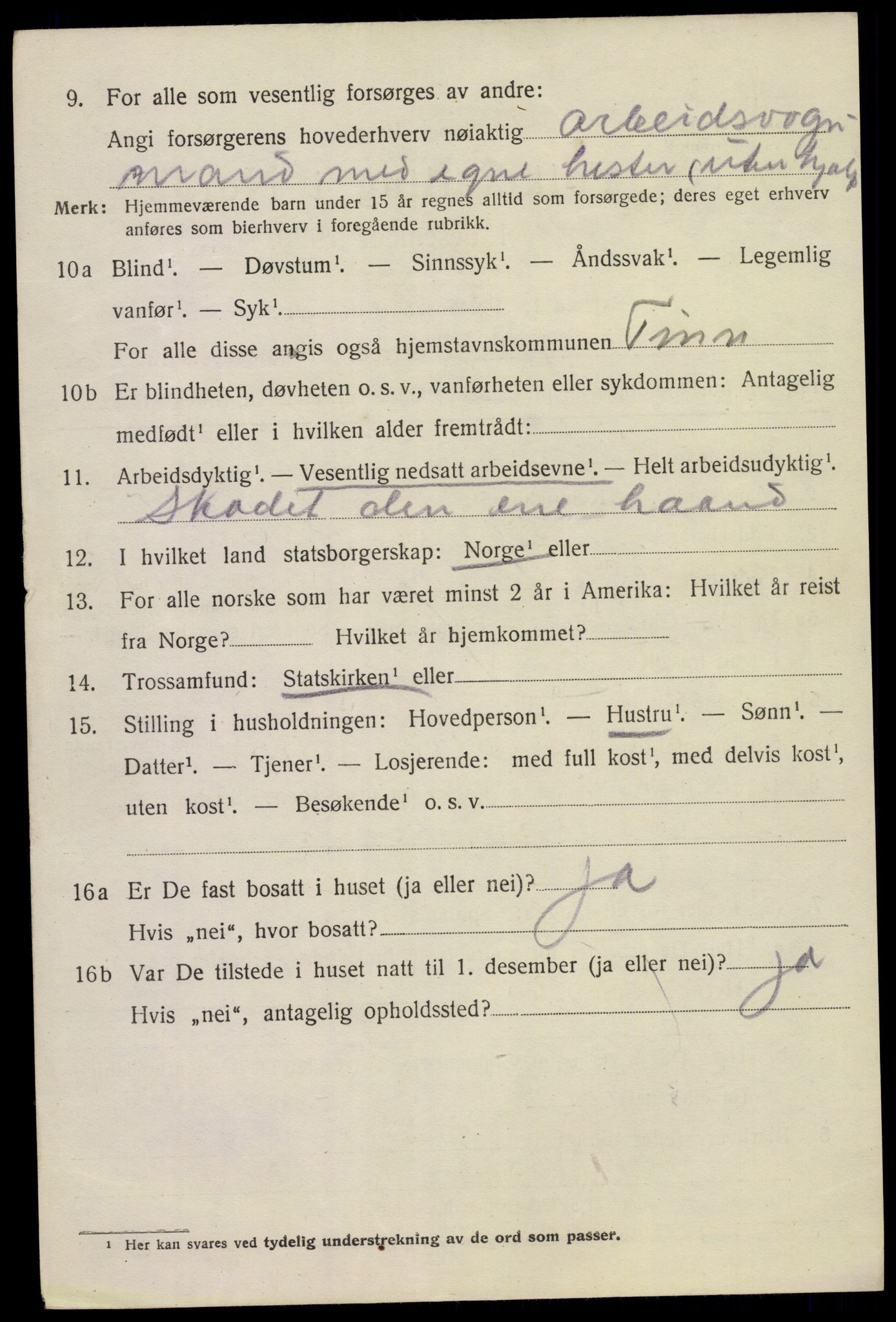 SAKO, 1920 census for Tinn, 1920, p. 16253