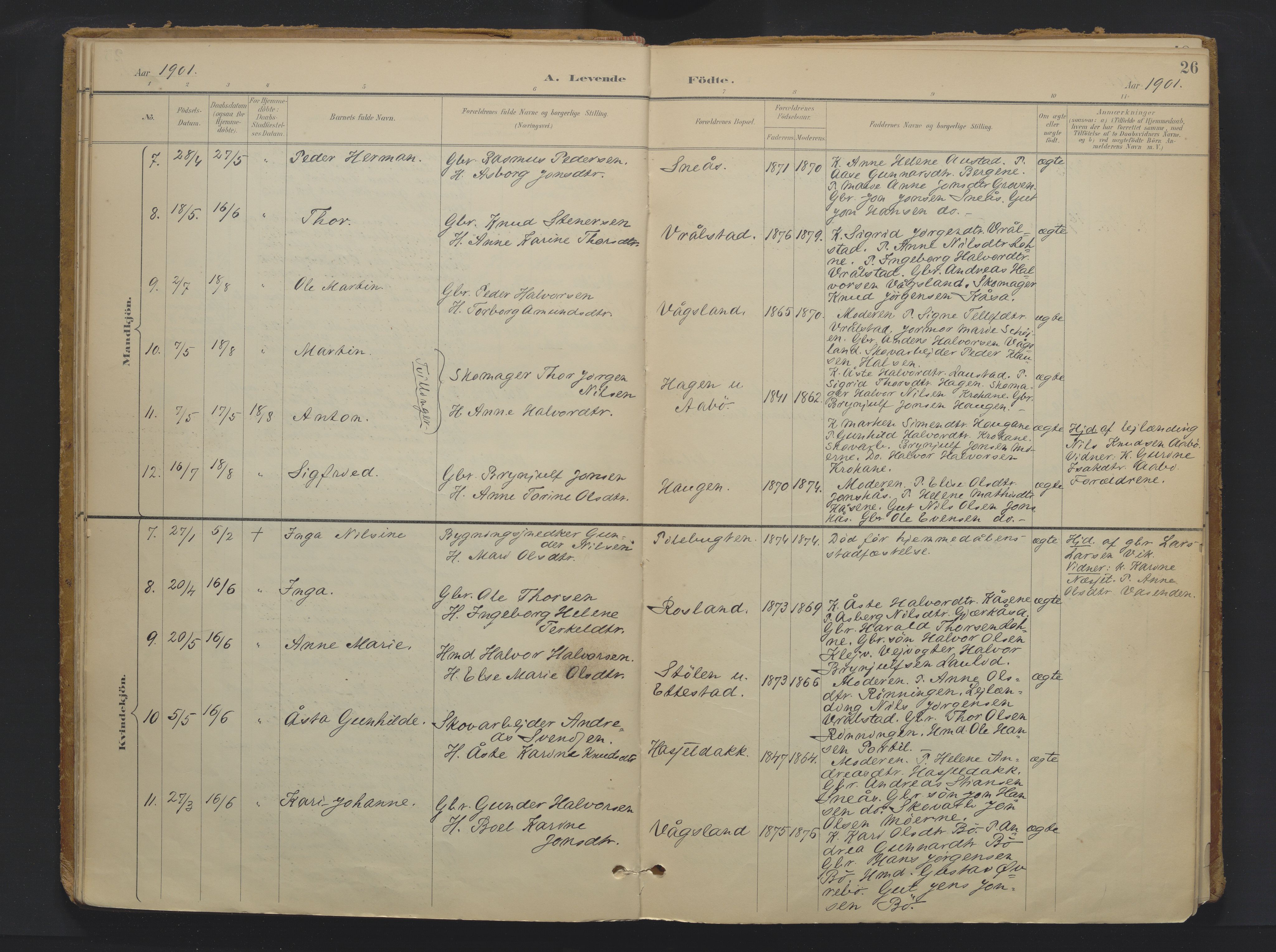 Drangedal kirkebøker, SAKO/A-258/F/Fa/L0013: Parish register (official) no. 13, 1895-1919, p. 26