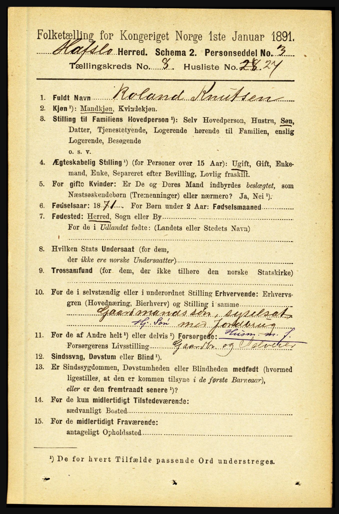 RA, 1891 census for 1425 Hafslo, 1891, p. 3309