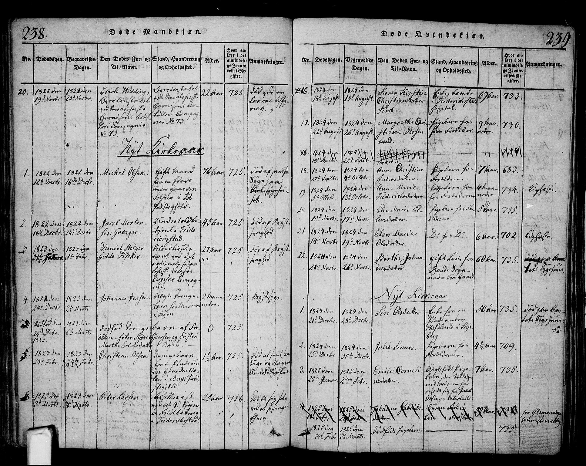 Fredrikstad prestekontor Kirkebøker, SAO/A-11082/F/Fa/L0004: Parish register (official) no. 4, 1816-1834, p. 238-239