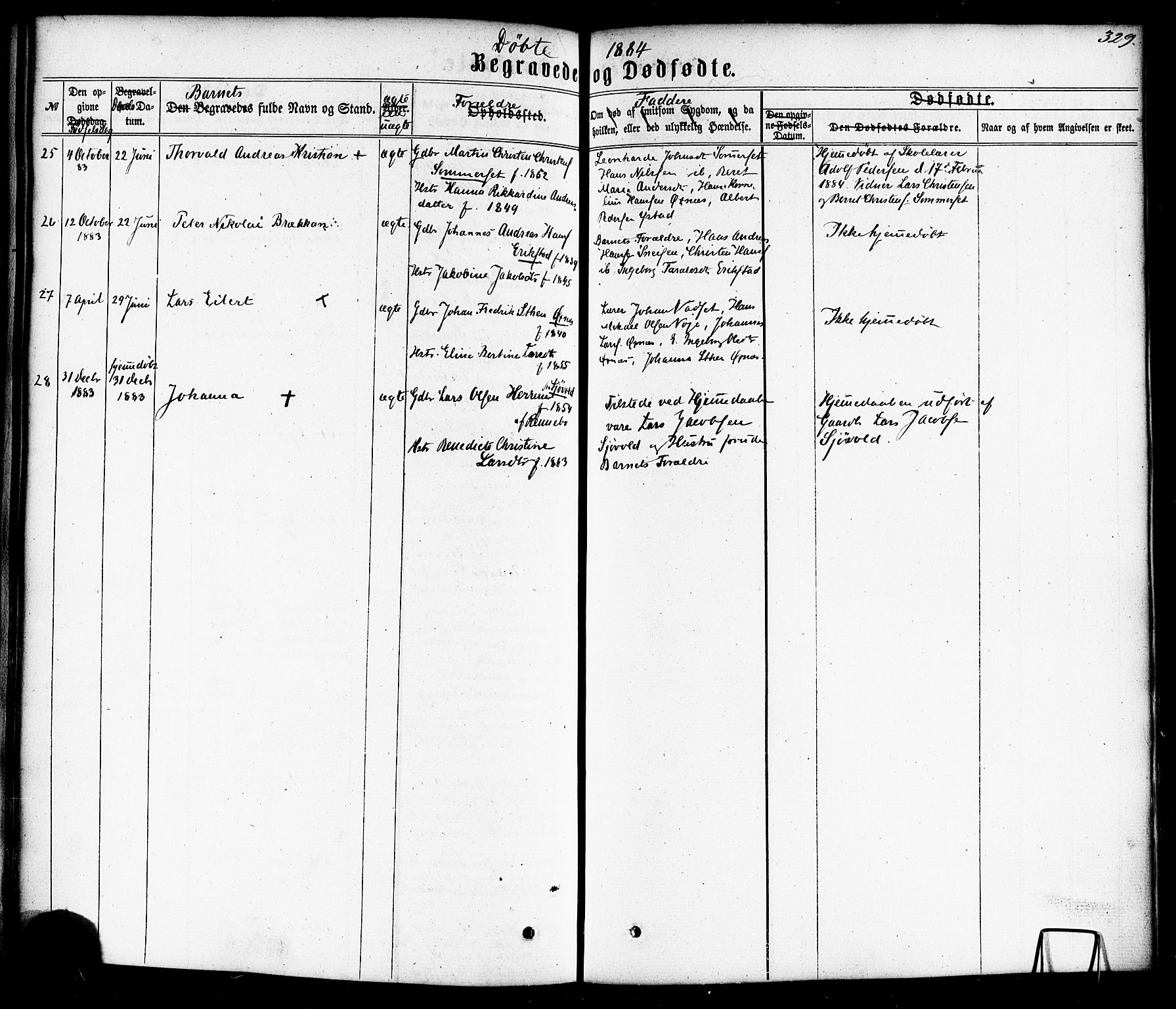 Ministerialprotokoller, klokkerbøker og fødselsregistre - Nordland, AV/SAT-A-1459/872/L1034: Parish register (official) no. 872A09, 1864-1884, p. 329