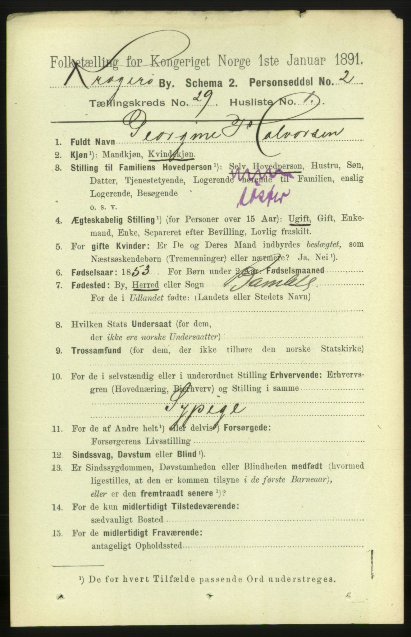 RA, 1891 census for 0801 Kragerø, 1891, p. 5483