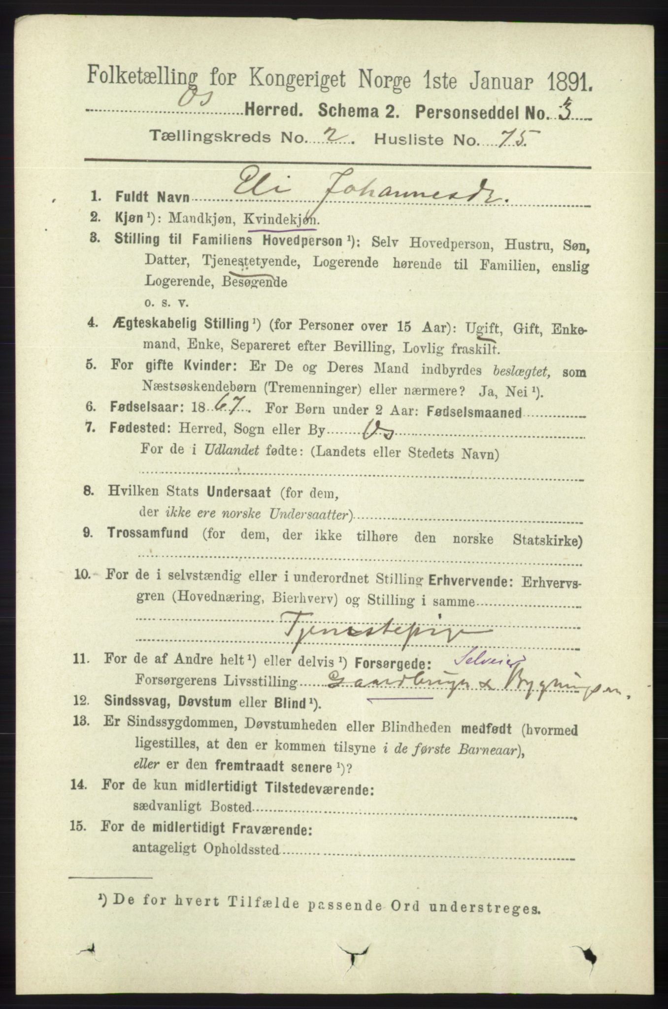 RA, 1891 census for 1243 Os, 1891, p. 853