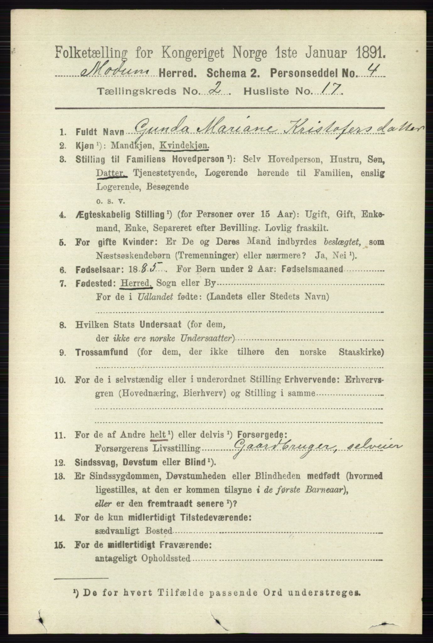 RA, 1891 census for 0623 Modum, 1891, p. 565