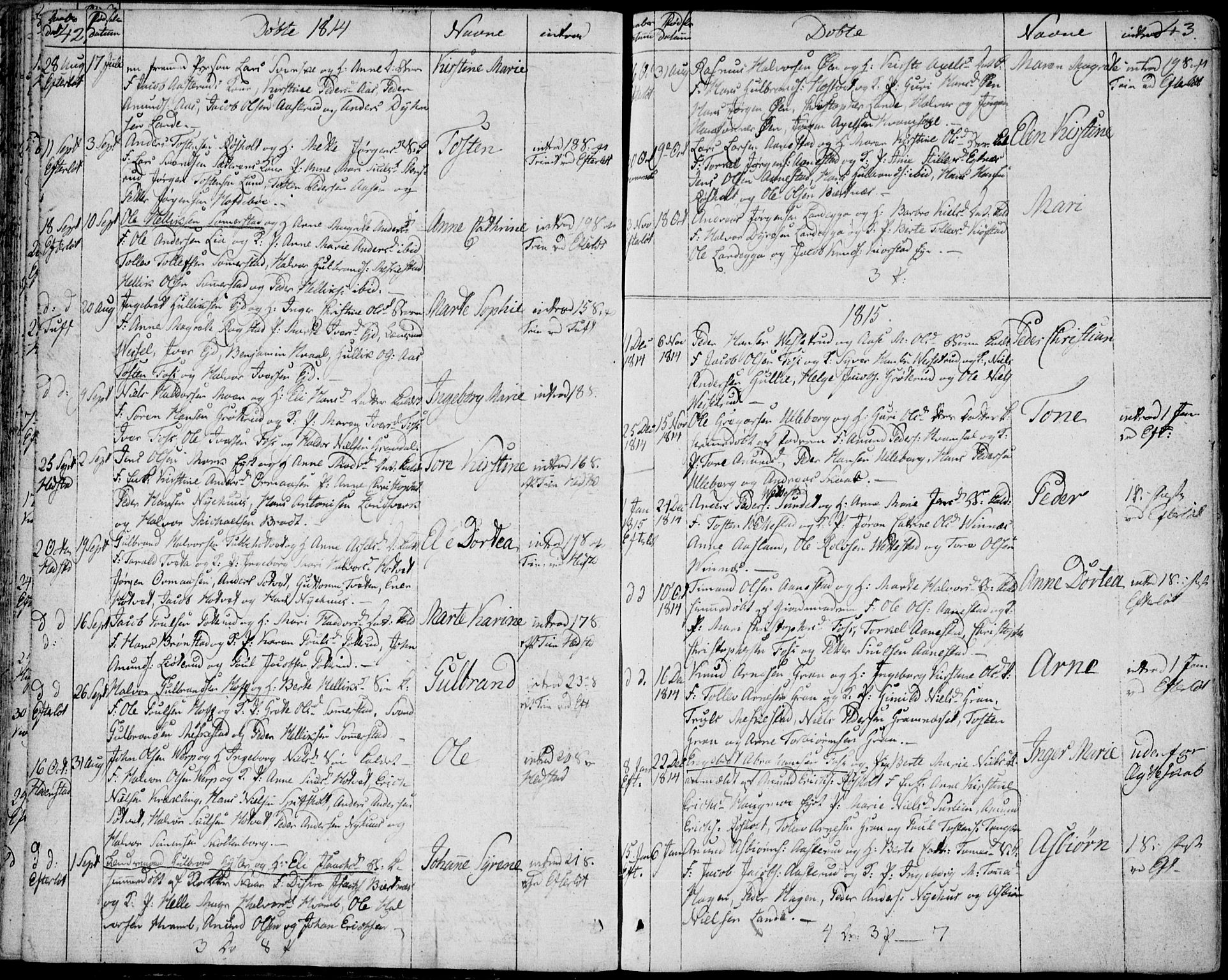 Sandsvær kirkebøker, AV/SAKO-A-244/F/Fa/L0003: Parish register (official) no. I 3, 1809-1817, p. 42-43