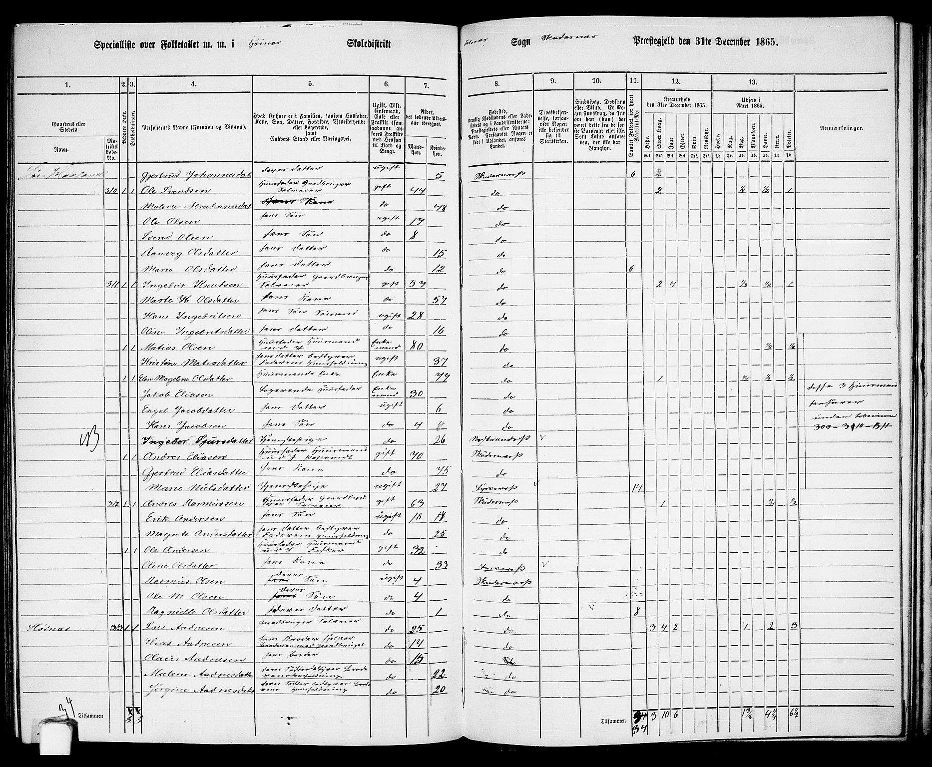 RA, 1865 census for Skudenes, 1865, p. 160