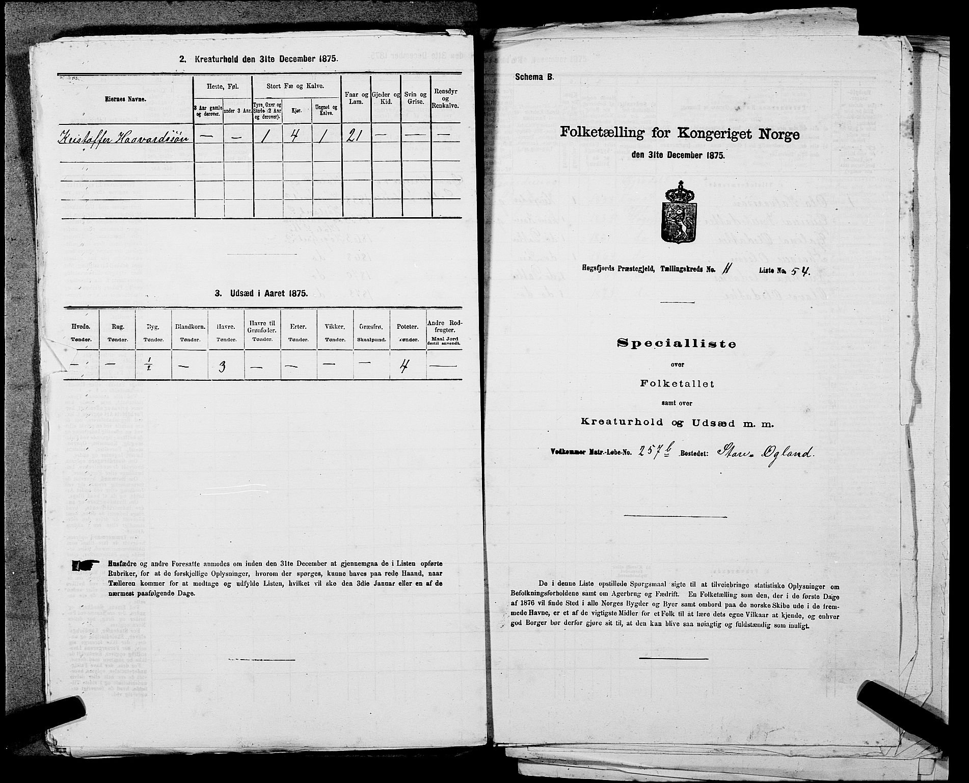 SAST, 1875 census for 1128P Høgsfjord, 1875, p. 1003