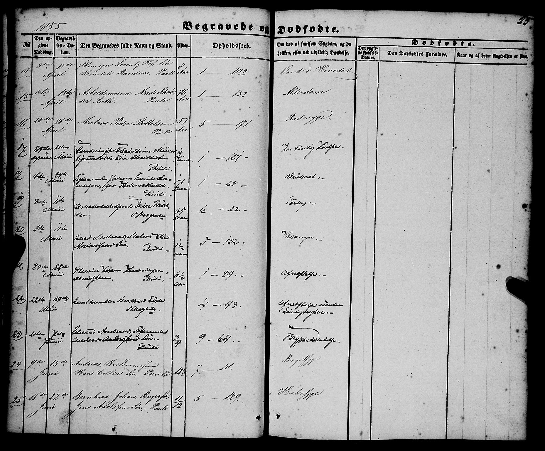 Nykirken Sokneprestembete, AV/SAB-A-77101/H/Haa/L0042: Parish register (official) no. E 2, 1850-1868, p. 25