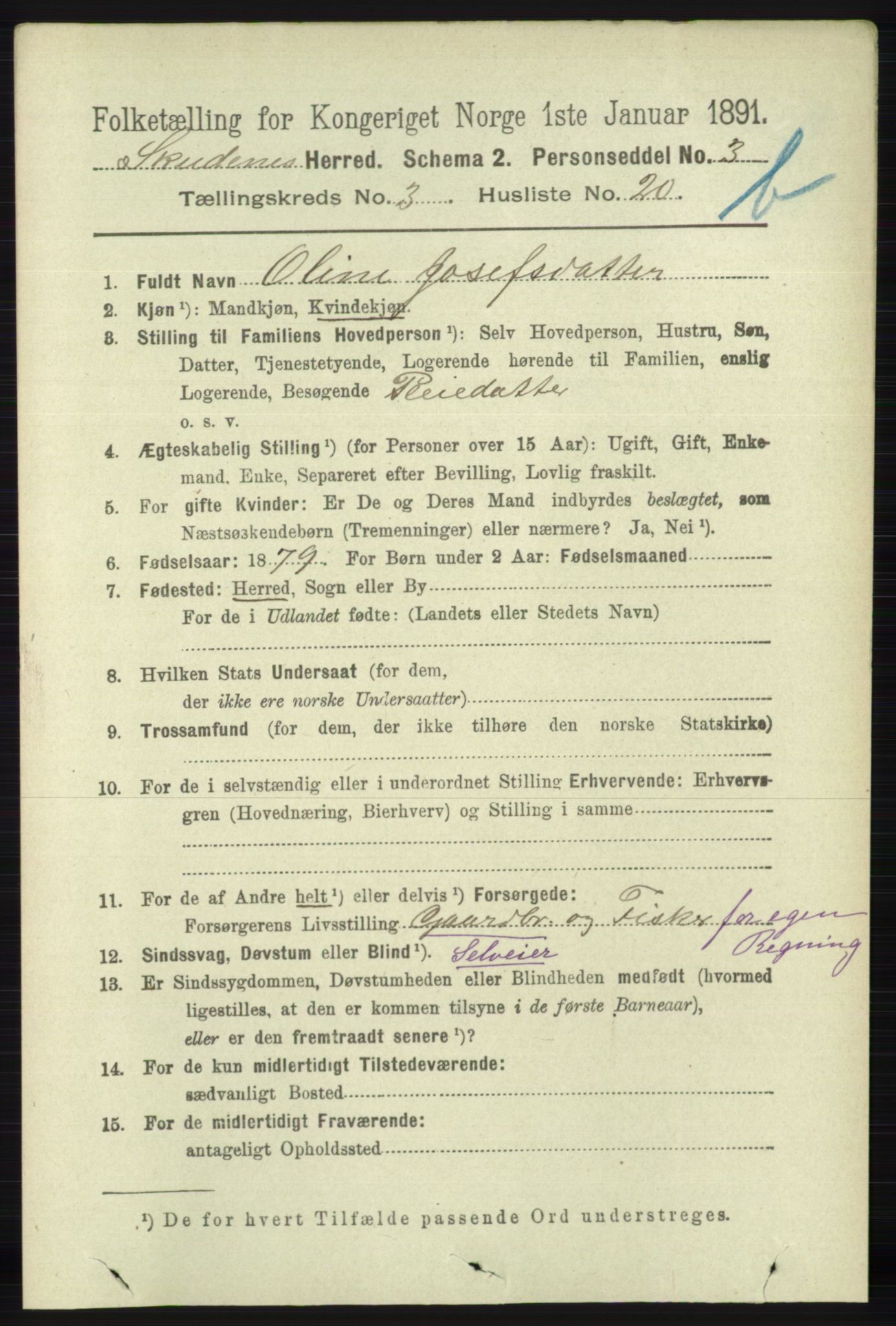 RA, 1891 census for 1150 Skudenes, 1891, p. 4100