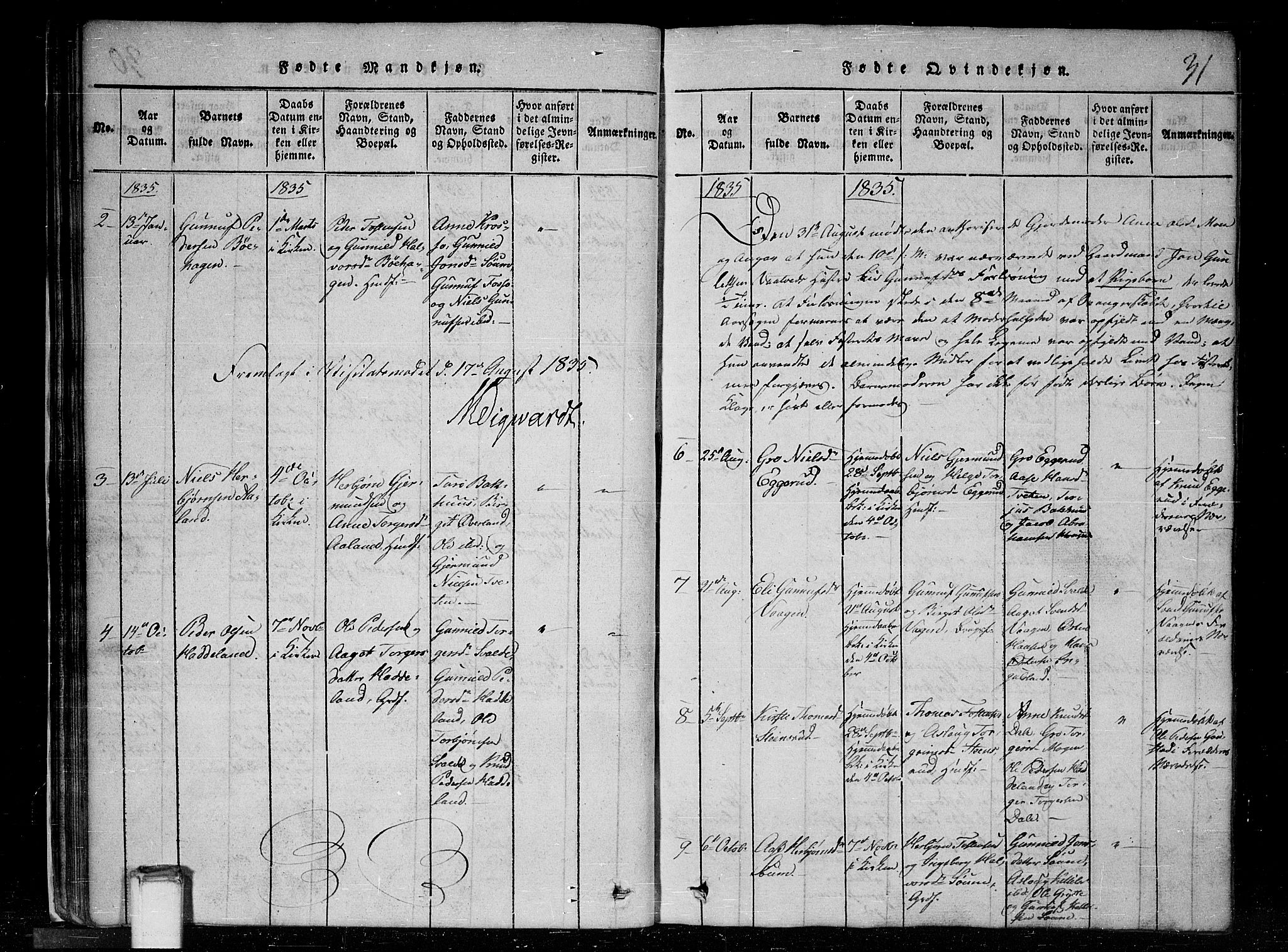 Tinn kirkebøker, AV/SAKO-A-308/G/Gc/L0001: Parish register (copy) no. III 1, 1815-1879, p. 31