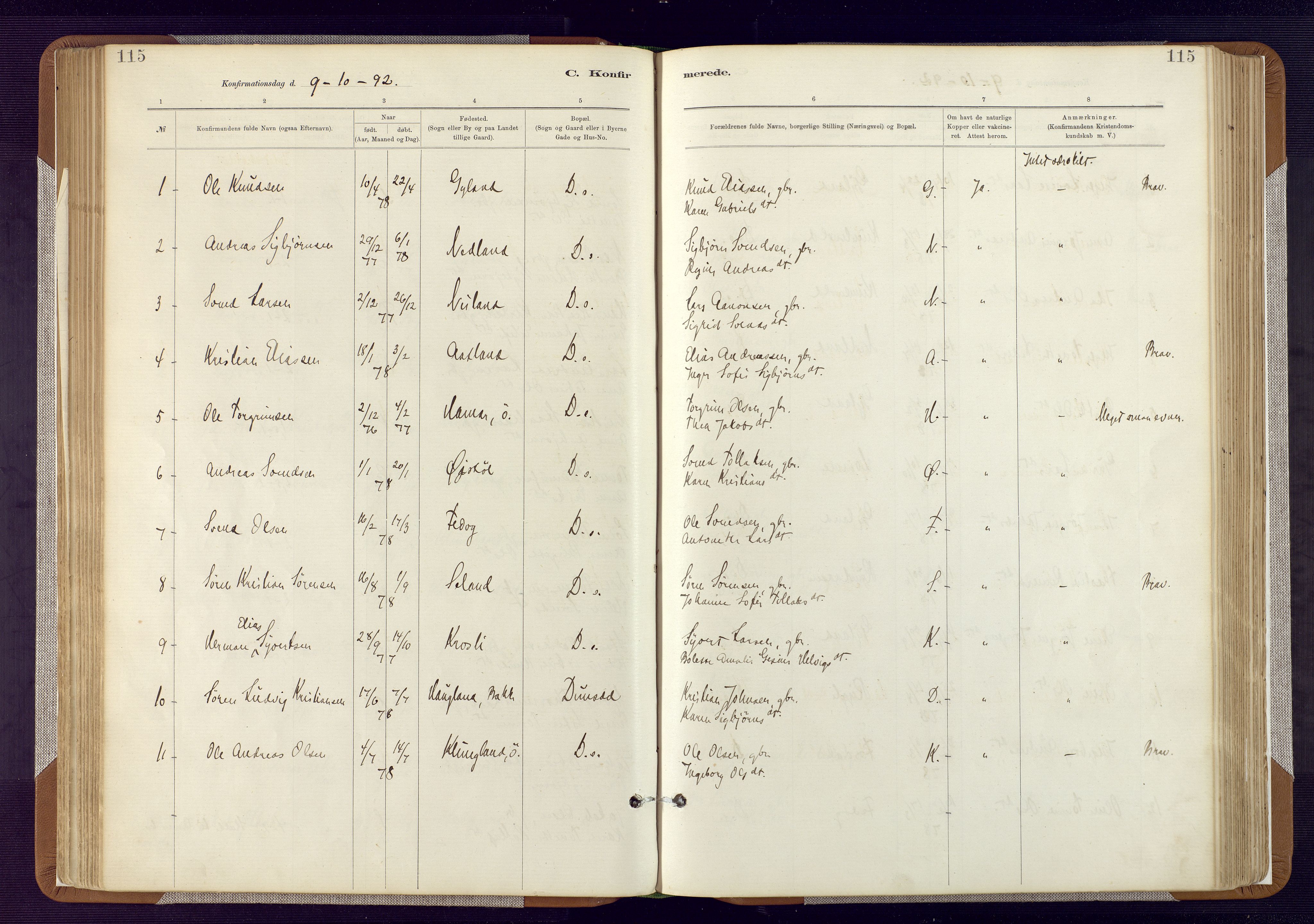 Bakke sokneprestkontor, SAK/1111-0002/F/Fa/Fab/L0003: Parish register (official) no. A 3, 1884-1921, p. 115