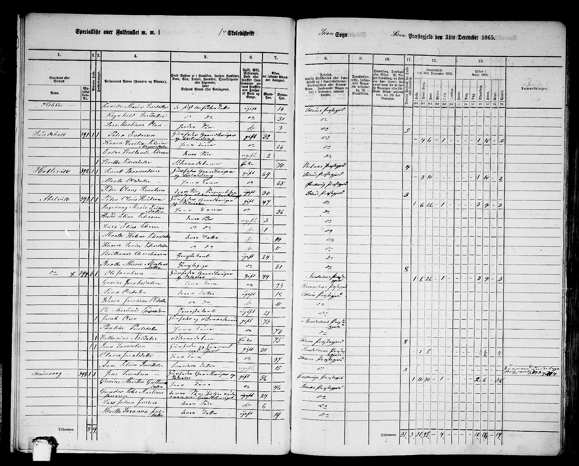 RA, 1865 census for Skodje, 1865, p. 15