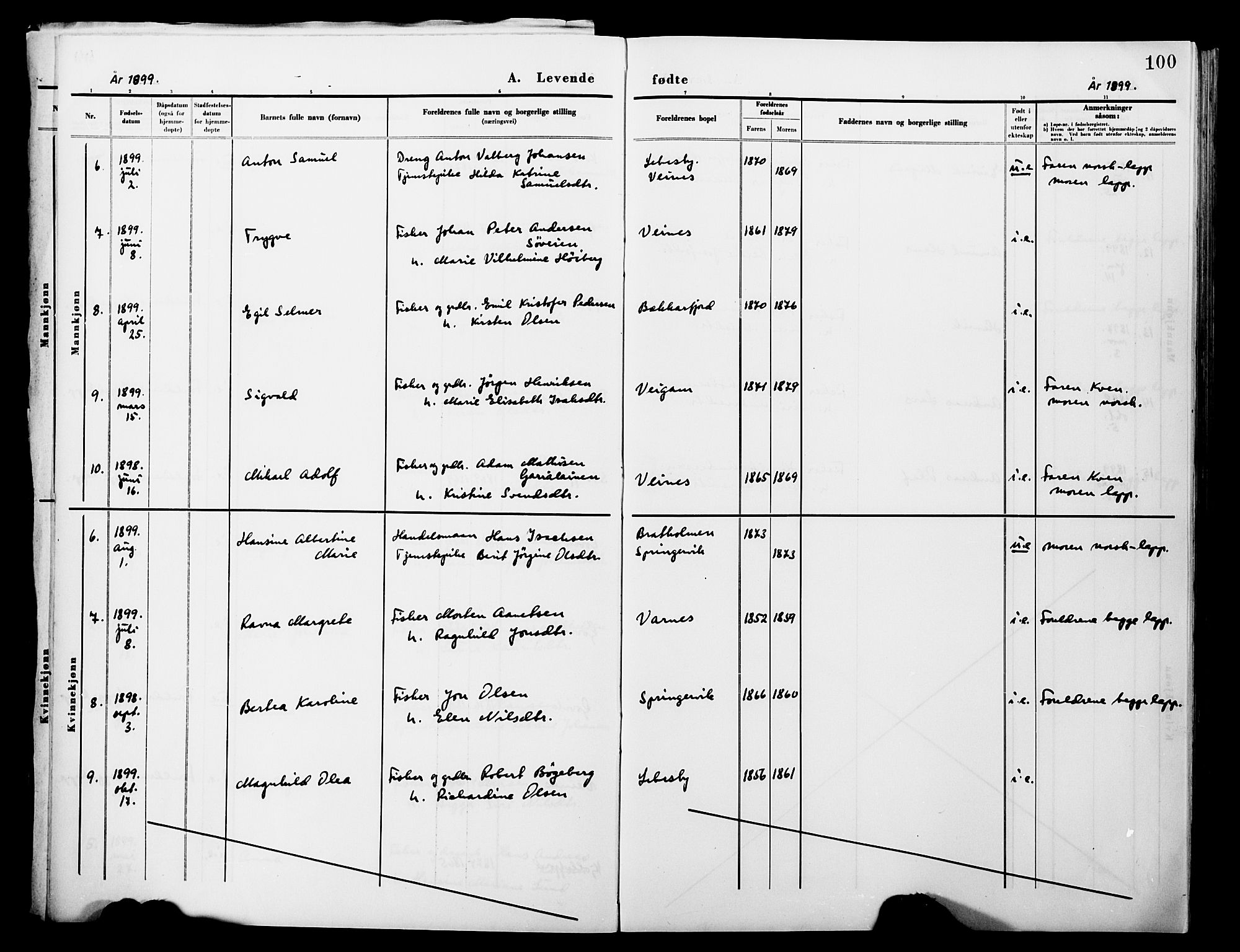 Lebesby sokneprestkontor, AV/SATØ-S-1353/H/Ha/L0004kirke: Parish register (official) no. 4, 1870-1902, p. 100