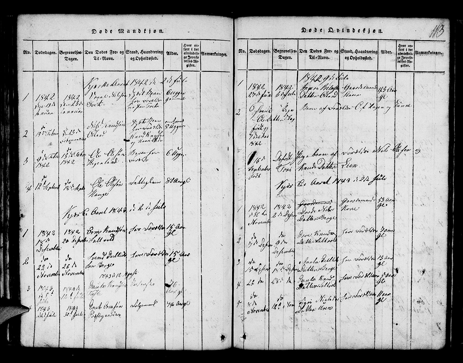 Røldal sokneprestembete, SAB/A-100247: Parish register (copy) no. A 1, 1817-1860, p. 113
