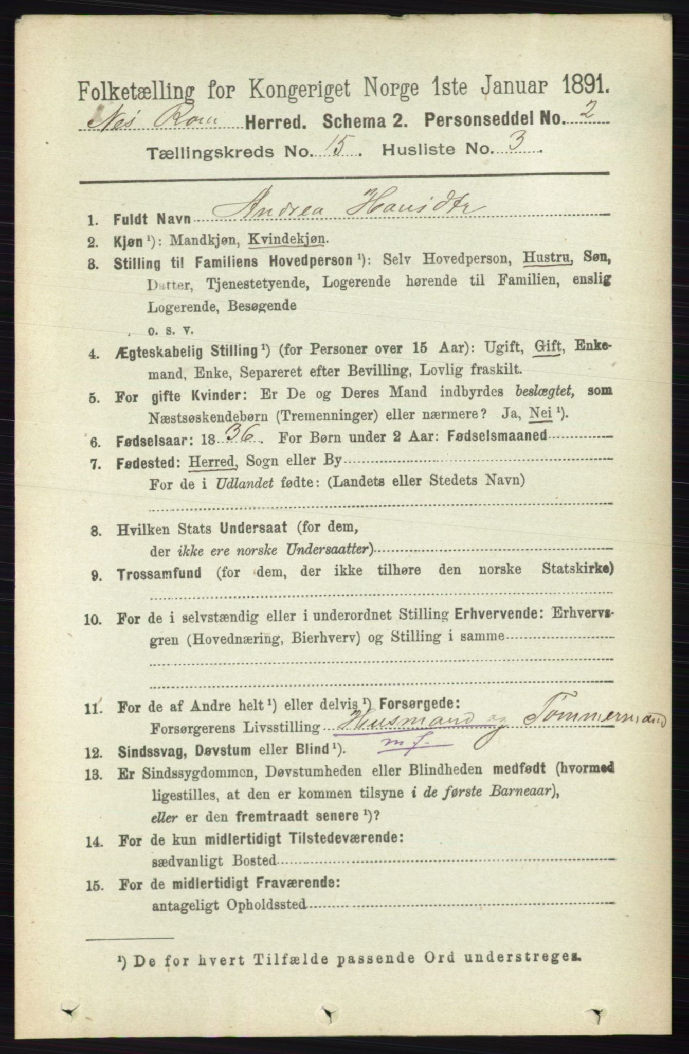 RA, 1891 census for 0236 Nes, 1891, p. 9015