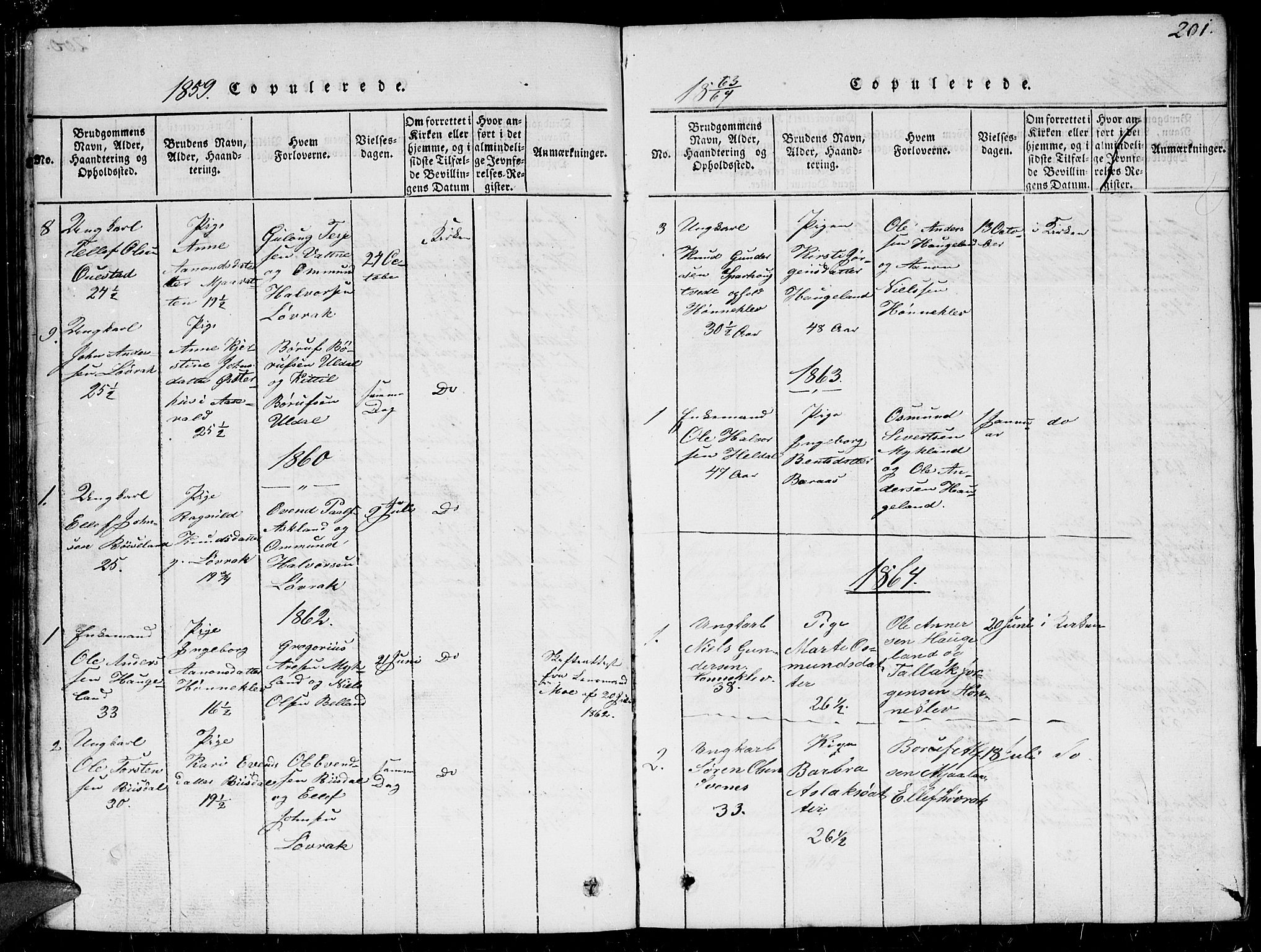 Herefoss sokneprestkontor, AV/SAK-1111-0019/F/Fb/Fbc/L0001: Parish register (copy) no. B 1, 1816-1866, p. 201