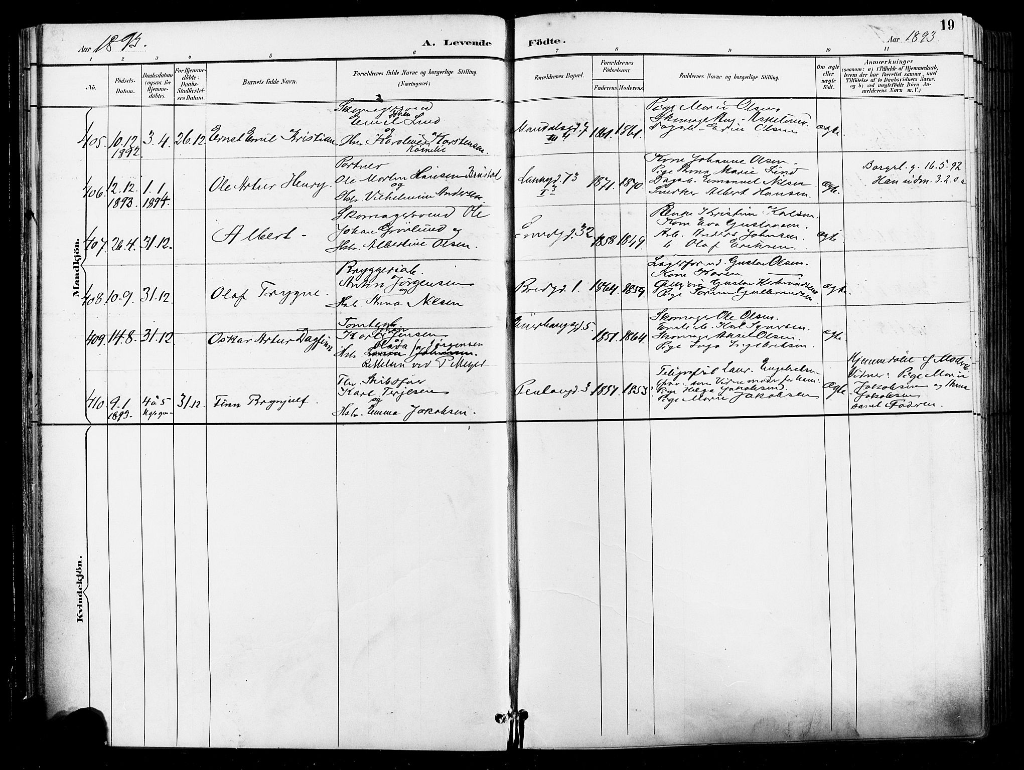 Grønland prestekontor Kirkebøker, AV/SAO-A-10848/F/Fa/L0012: Parish register (official) no. 12, 1893-1900, p. 19