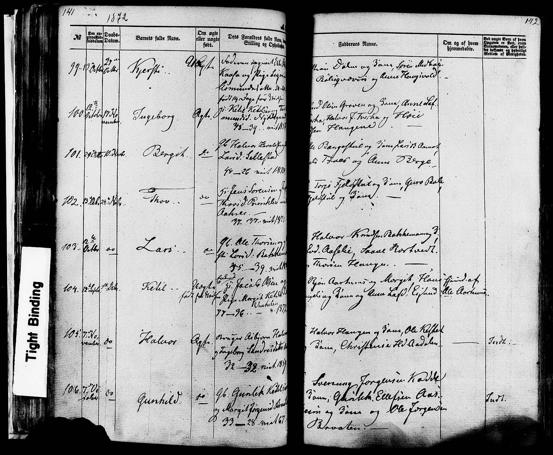 Seljord kirkebøker, AV/SAKO-A-20/F/Fa/L0013: Parish register (official) no. I 13, 1866-1876, p. 141-142