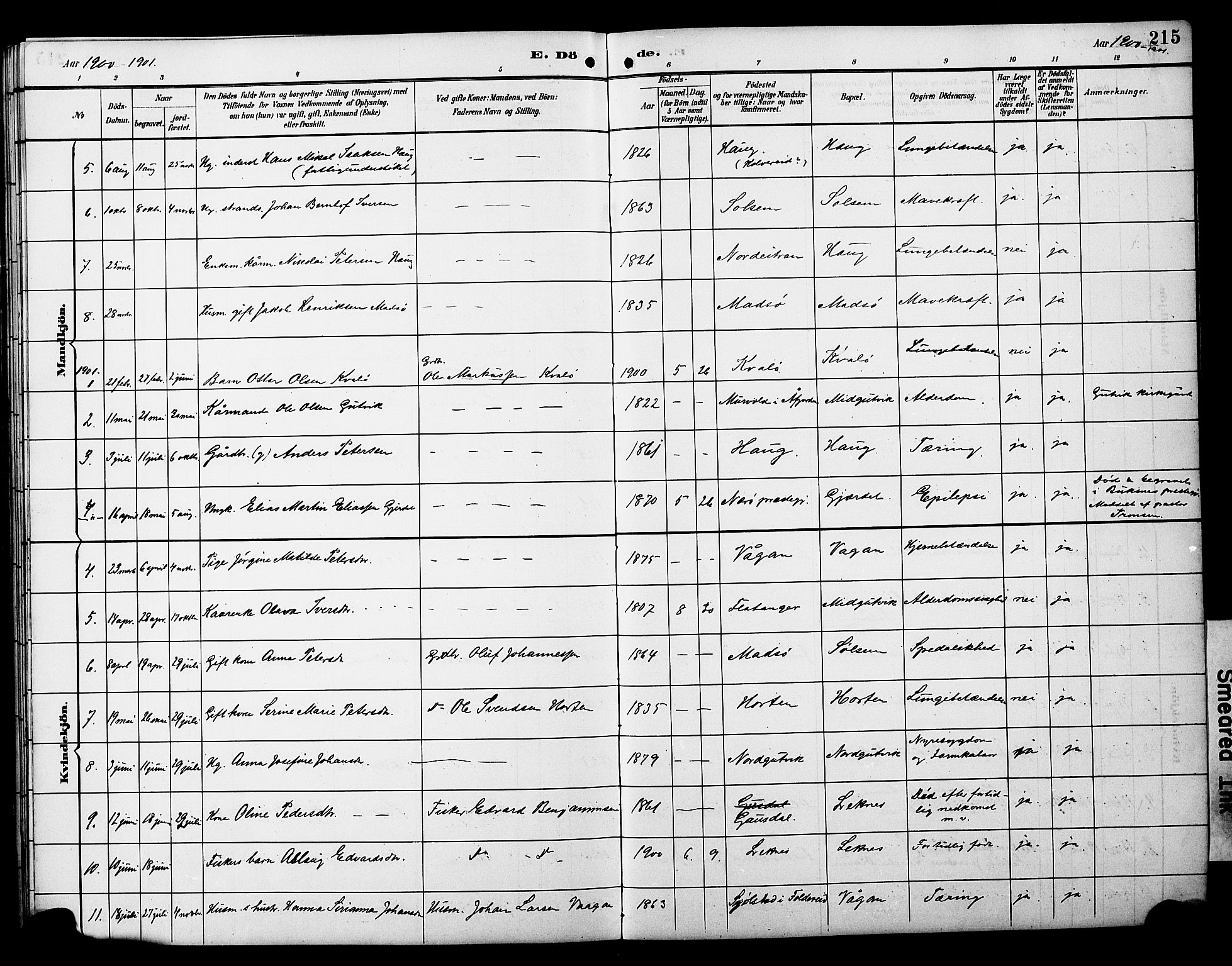 Ministerialprotokoller, klokkerbøker og fødselsregistre - Nord-Trøndelag, SAT/A-1458/788/L0701: Parish register (copy) no. 788C01, 1888-1913, p. 215