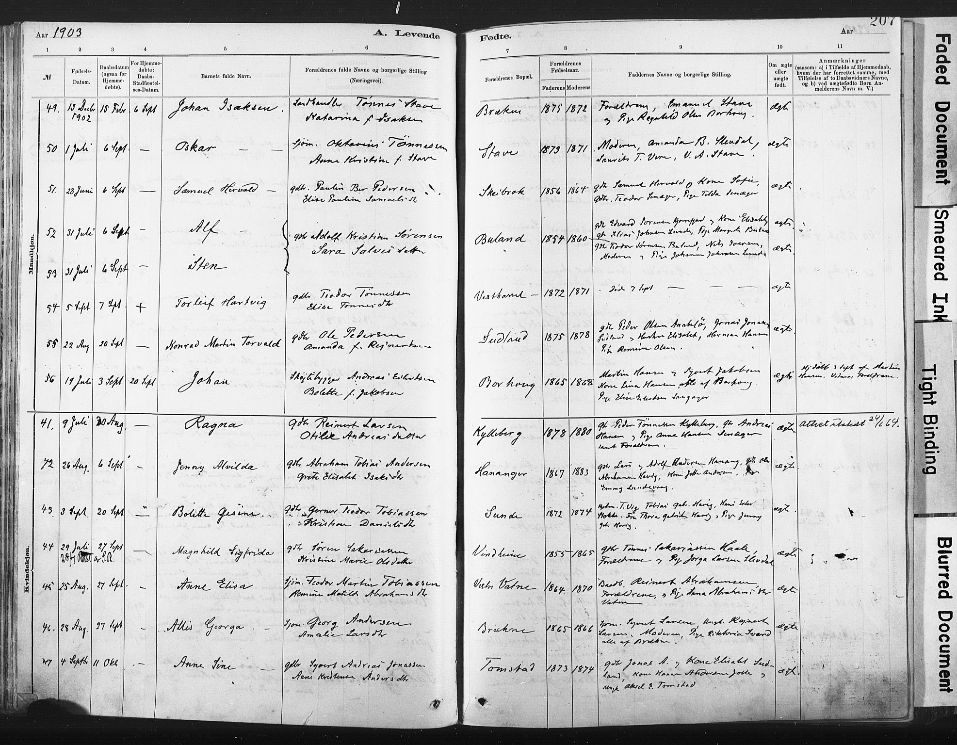 Lista sokneprestkontor, AV/SAK-1111-0027/F/Fa/L0012: Parish register (official) no. A 12, 1879-1903, p. 207