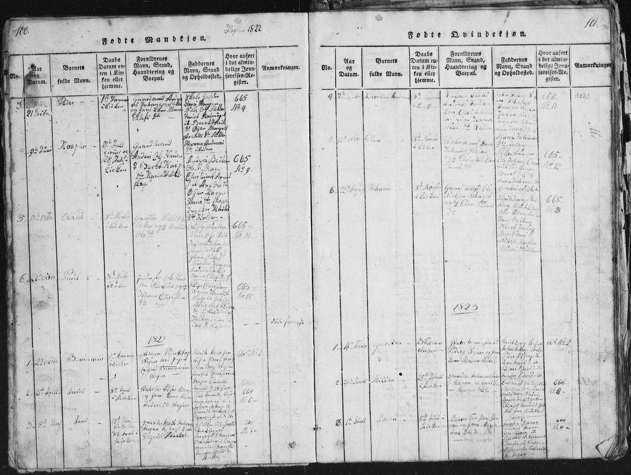 Ministerialprotokoller, klokkerbøker og fødselsregistre - Møre og Romsdal, AV/SAT-A-1454/581/L0942: Parish register (copy) no. 581C00, 1820-1836, p. 100-101