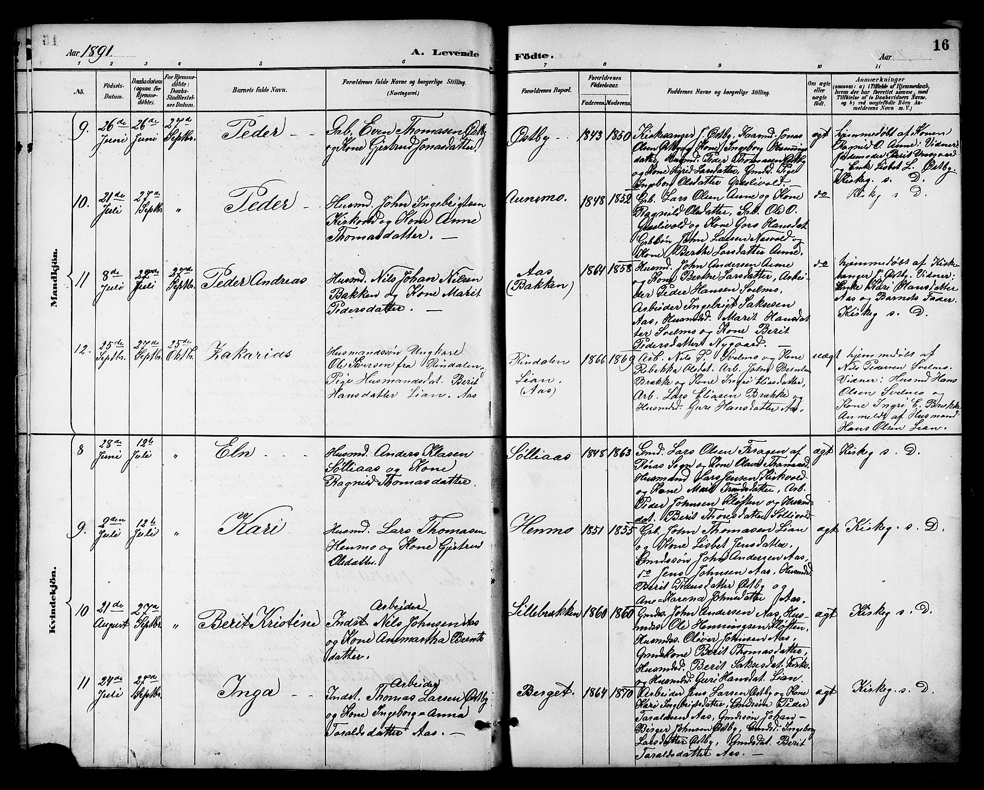 Ministerialprotokoller, klokkerbøker og fødselsregistre - Sør-Trøndelag, AV/SAT-A-1456/698/L1167: Parish register (copy) no. 698C04, 1888-1907, p. 16